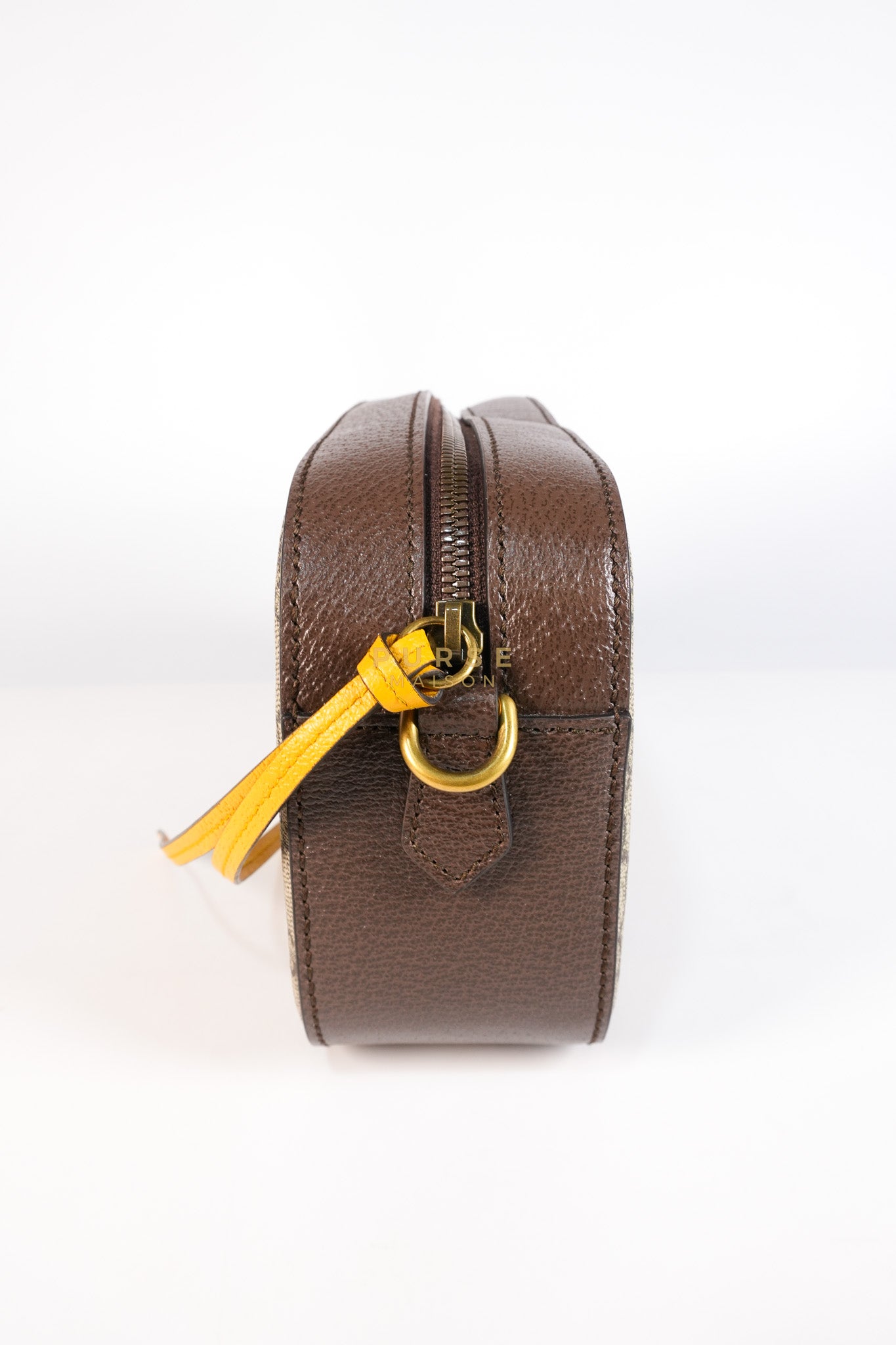 Neo Vintage Metallic Tiger Camera Bag in Supreme Monogram Canvas | Purse Maison Luxury Bags Shop