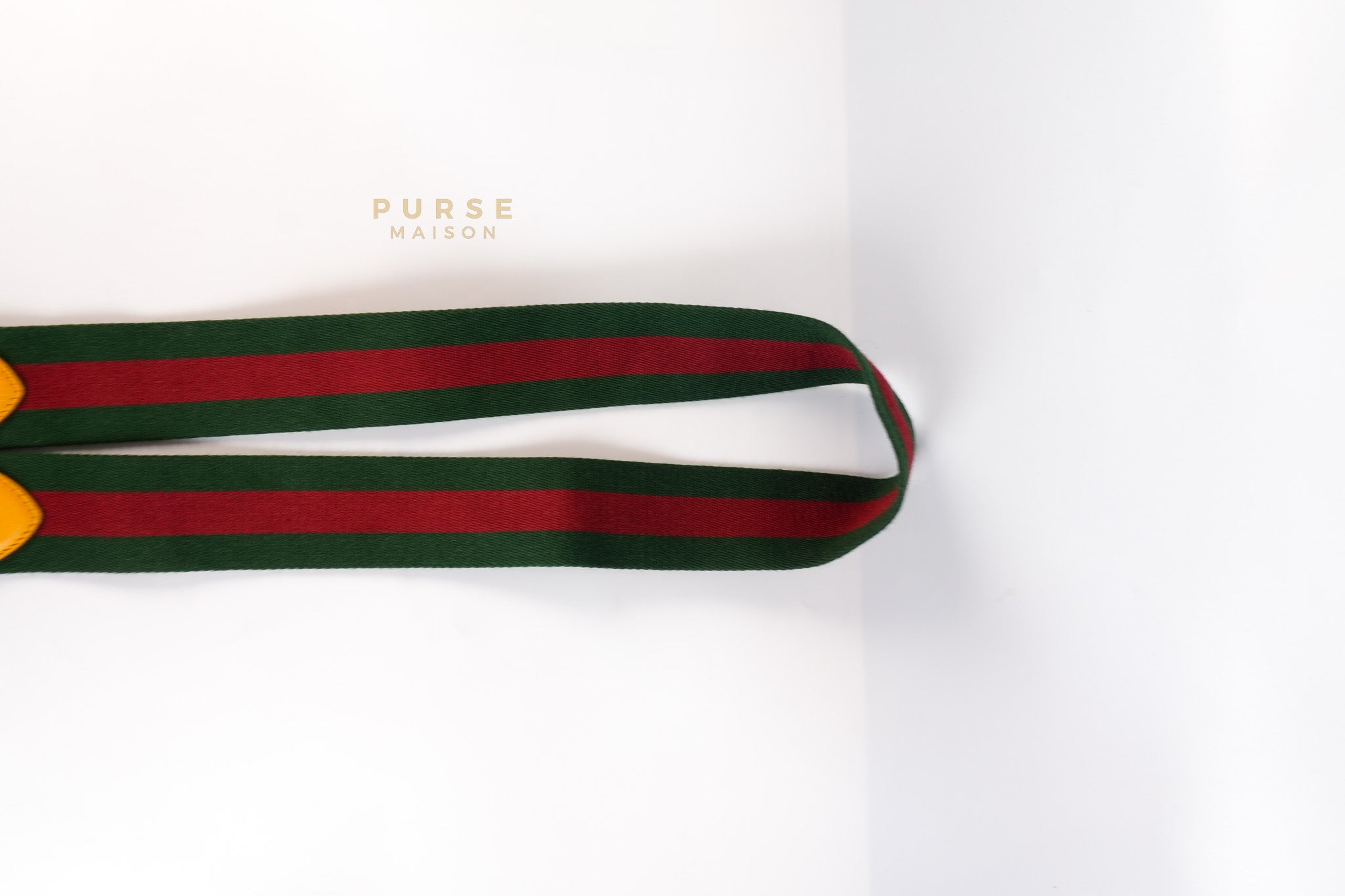 Neo Vintage Metallic Tiger Camera Bag in Supreme Monogram Canvas | Purse Maison Luxury Bags Shop