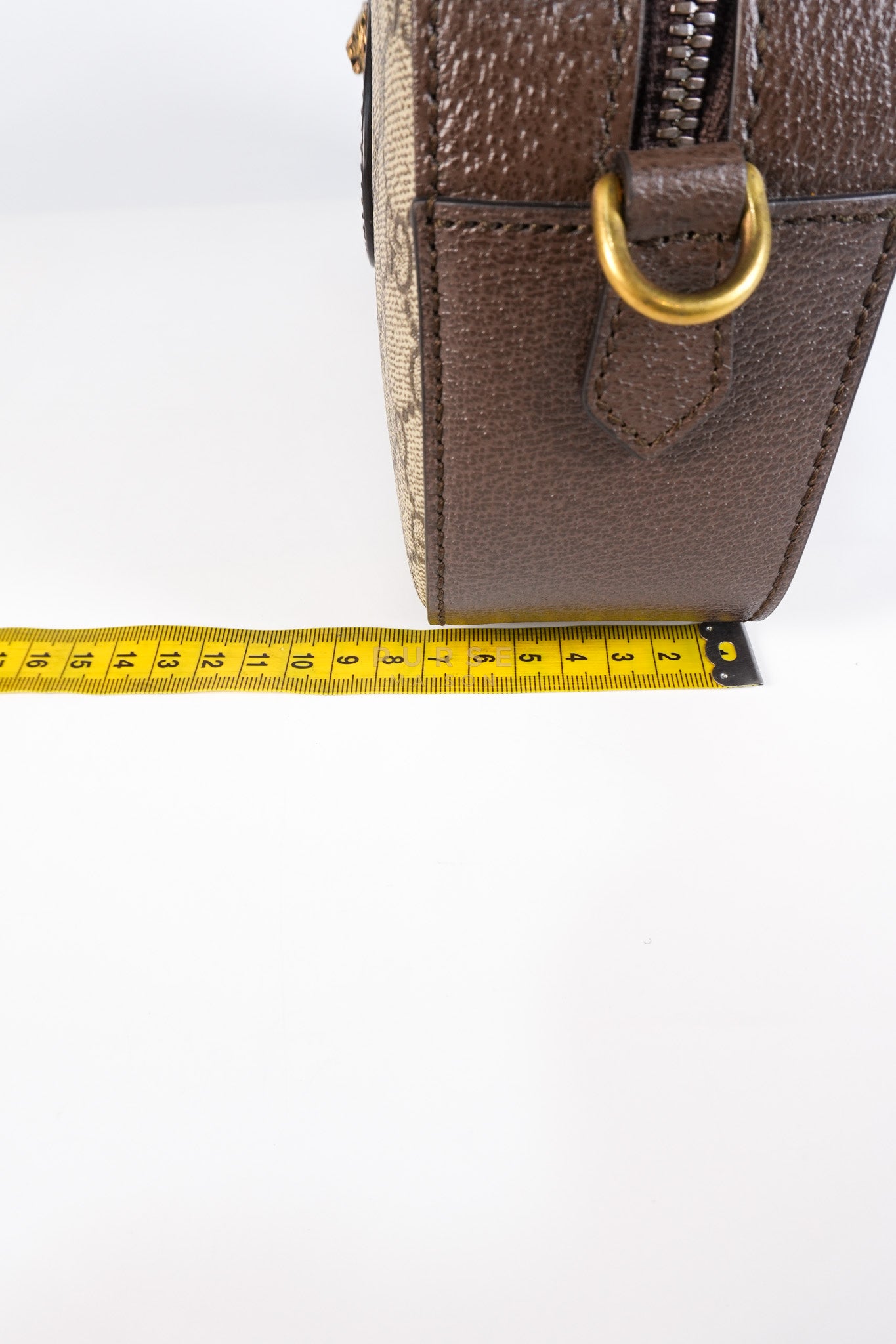 Neo Vintage Metallic Tiger Camera Bag in Supreme Monogram Canvas | Purse Maison Luxury Bags Shop