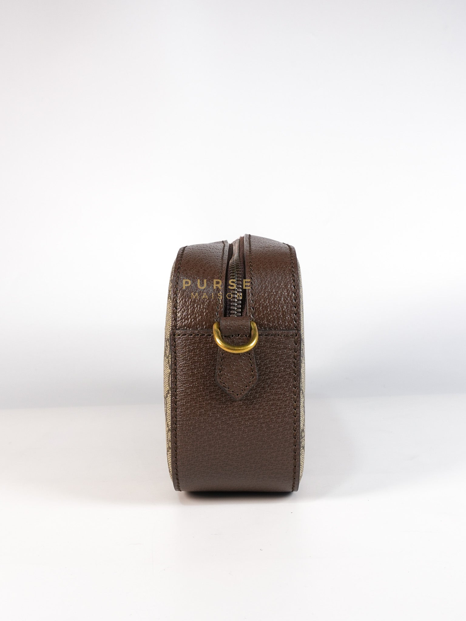 Neo Vintage Metallic Tiger Camera Bag in Supreme Monogram Canvas | Purse Maison Luxury Bags Shop