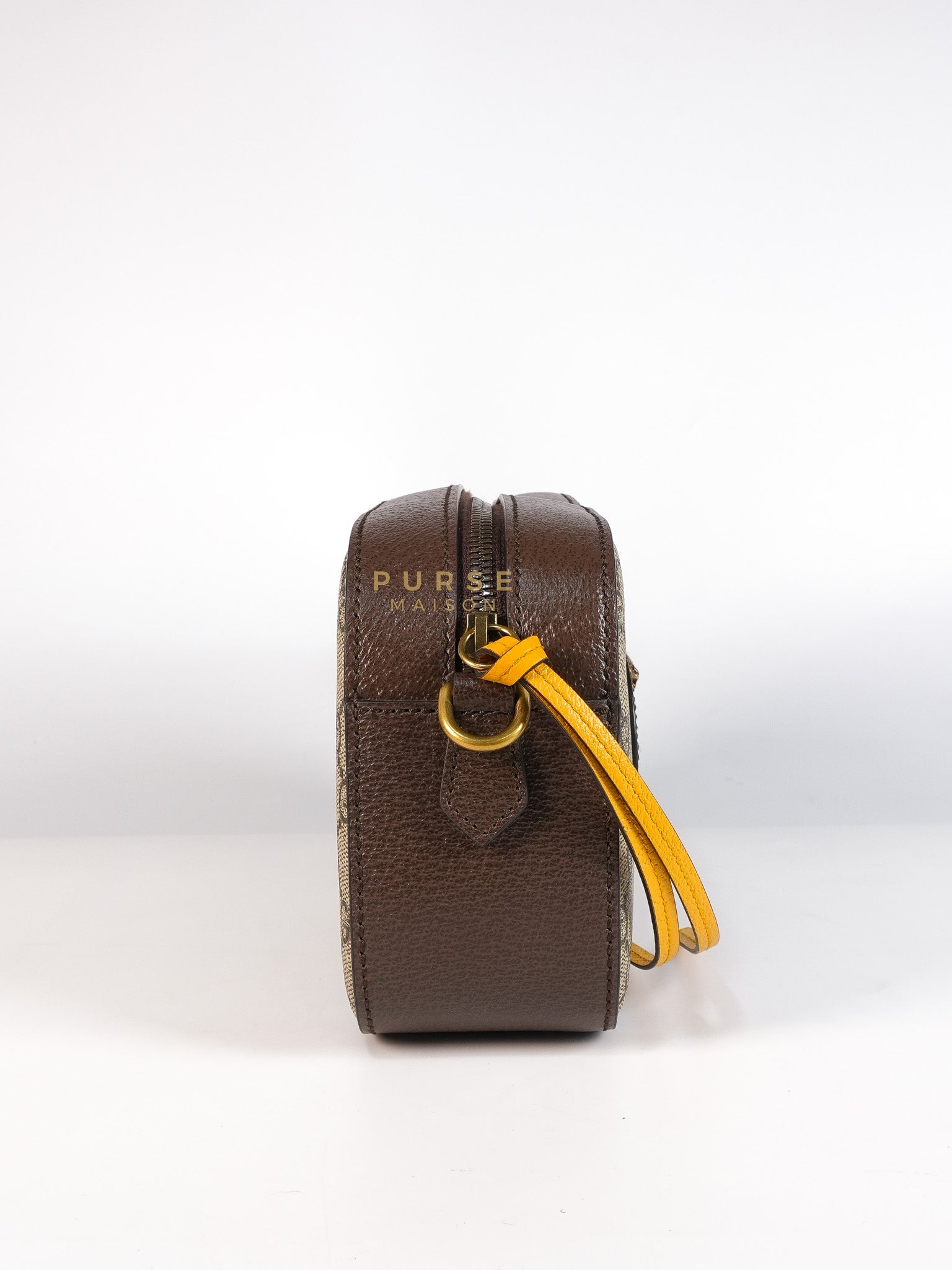 Neo Vintage Metallic Tiger Camera Bag in Supreme Monogram Canvas | Purse Maison Luxury Bags Shop