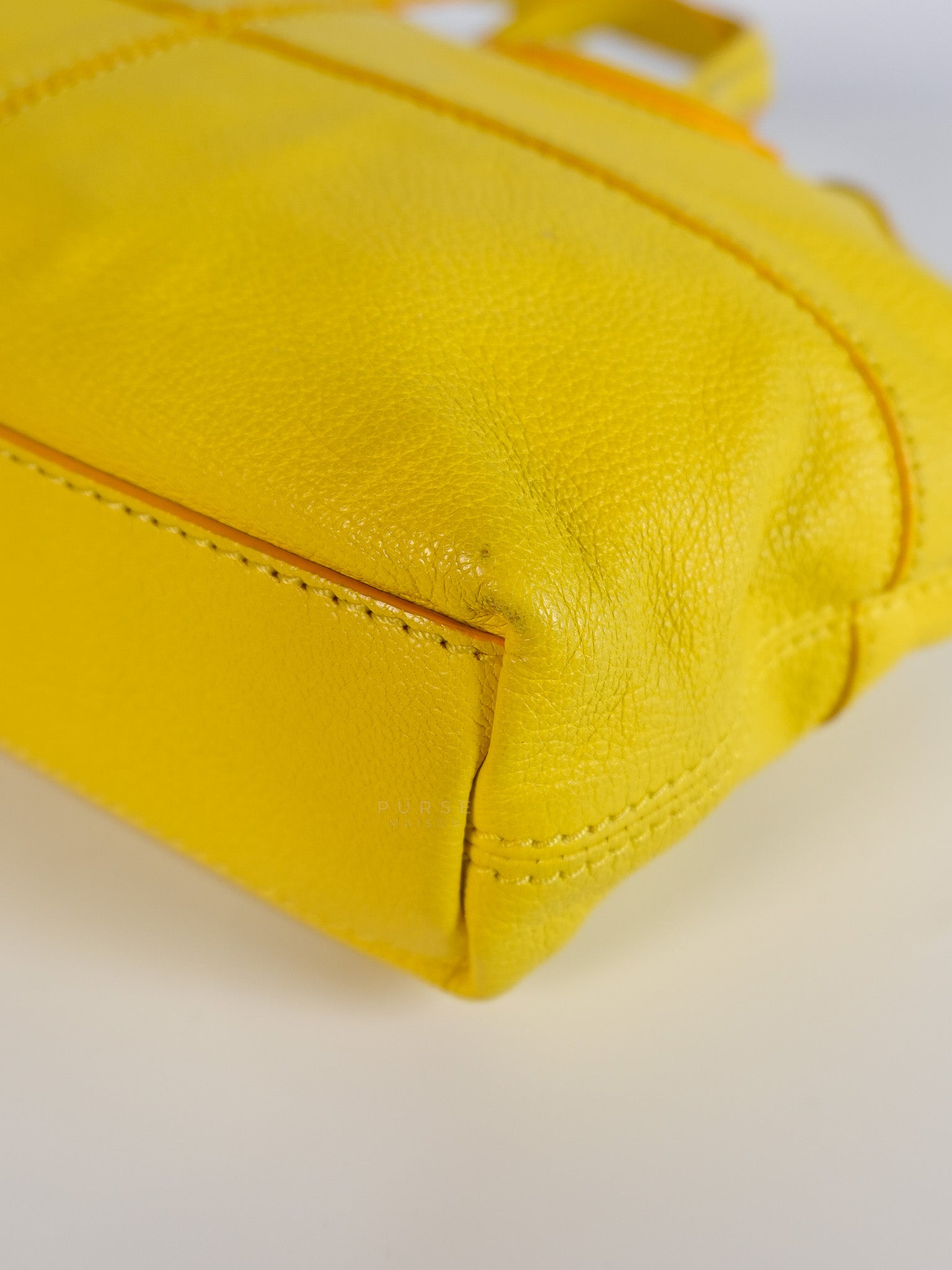 Nightingale Mini Crossbody Bag in Yellow Calfskin Leather | Purse Maison Luxury Bags Shop