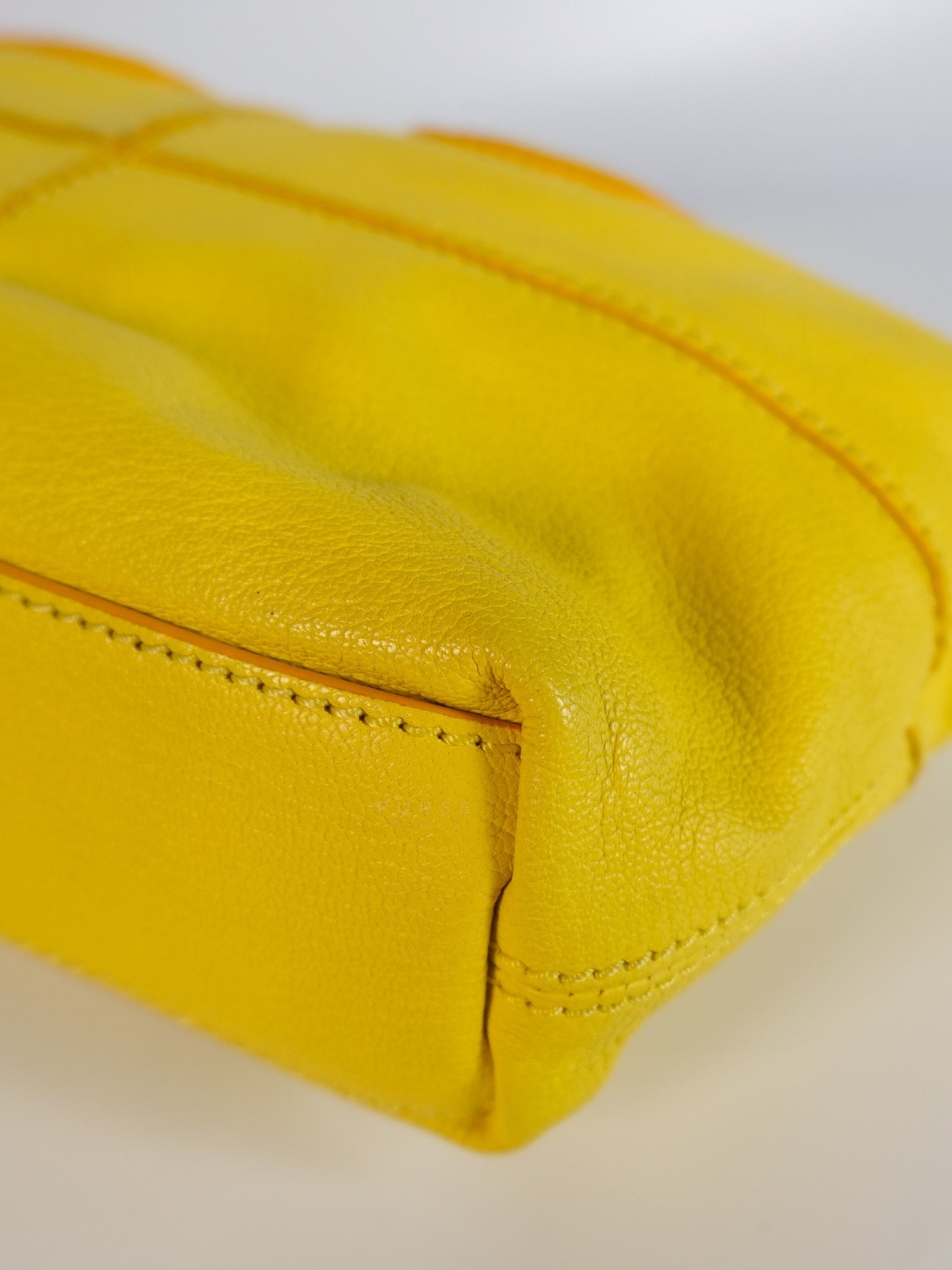 Nightingale Mini Crossbody Bag in Yellow Calfskin Leather | Purse Maison Luxury Bags Shop