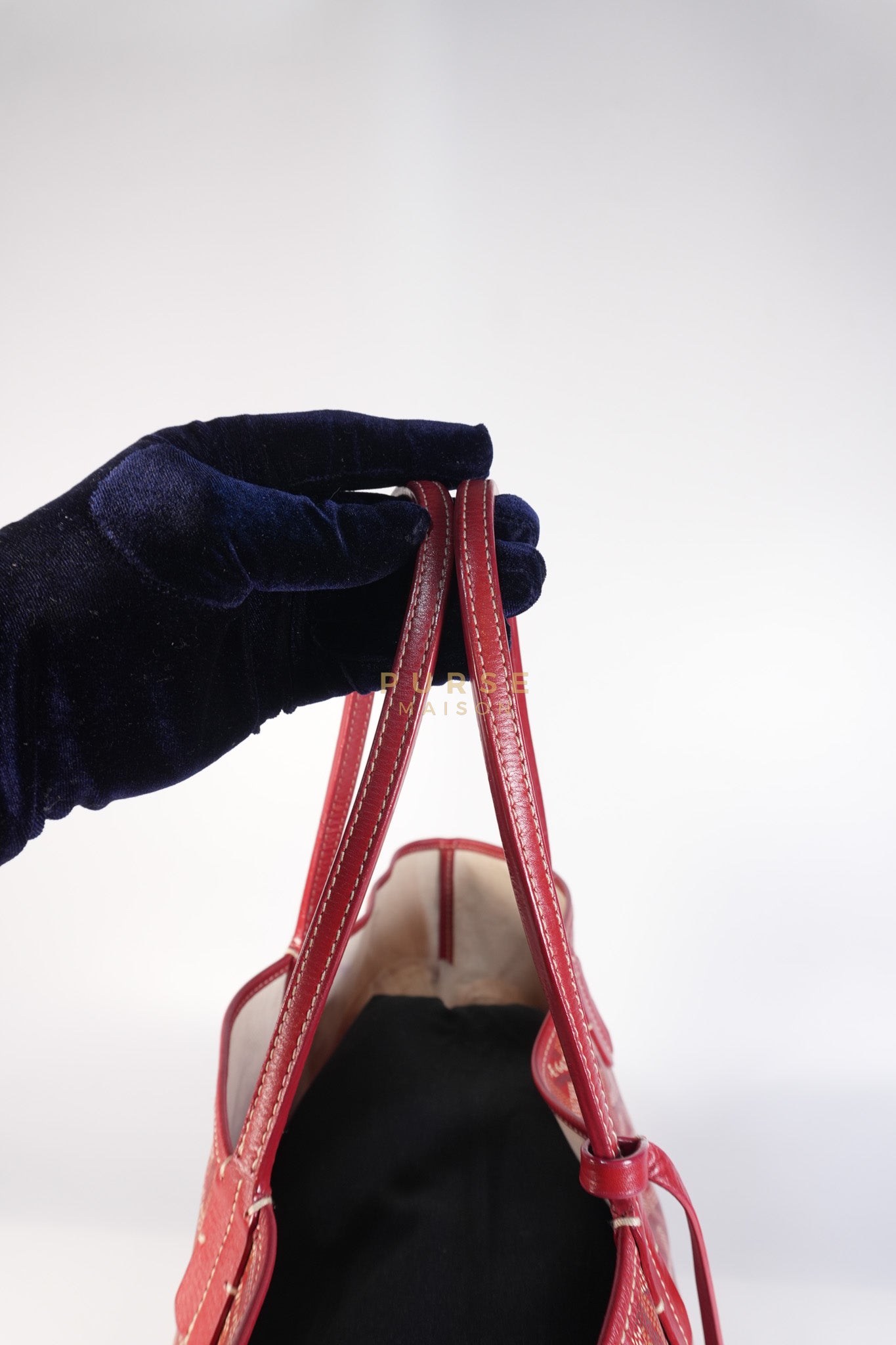 Saint Louis PM Red Goyardine Canvas