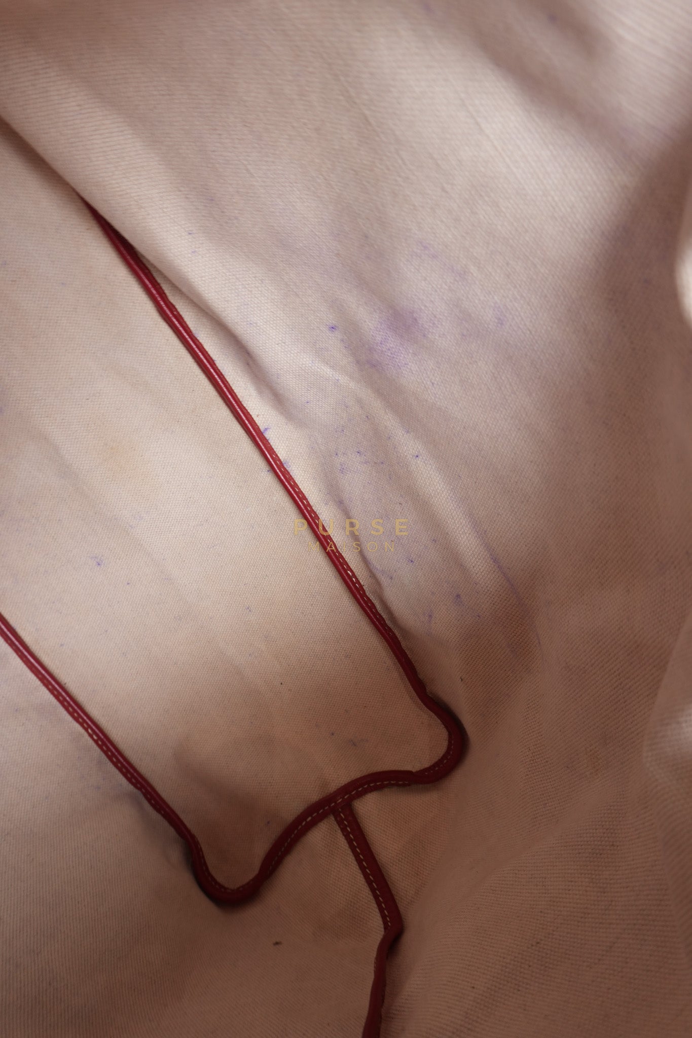 Saint Louis PM Red Goyardine Canvas