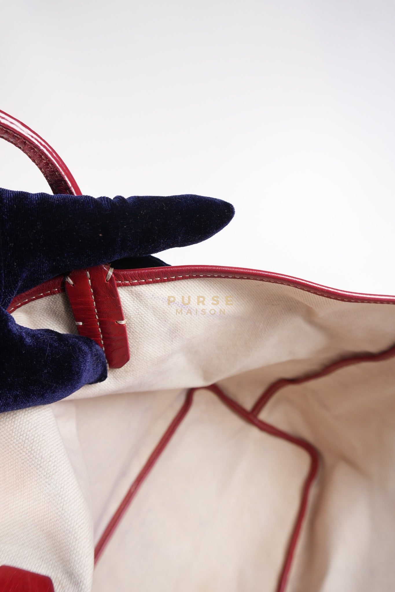 Saint Louis PM Red Goyardine Canvas