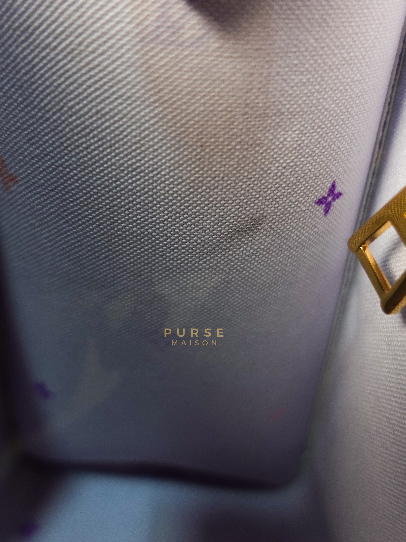 On The Go PM Spring in The City Canvas (Microchip) | Purse Maison Luxury Bags Shop