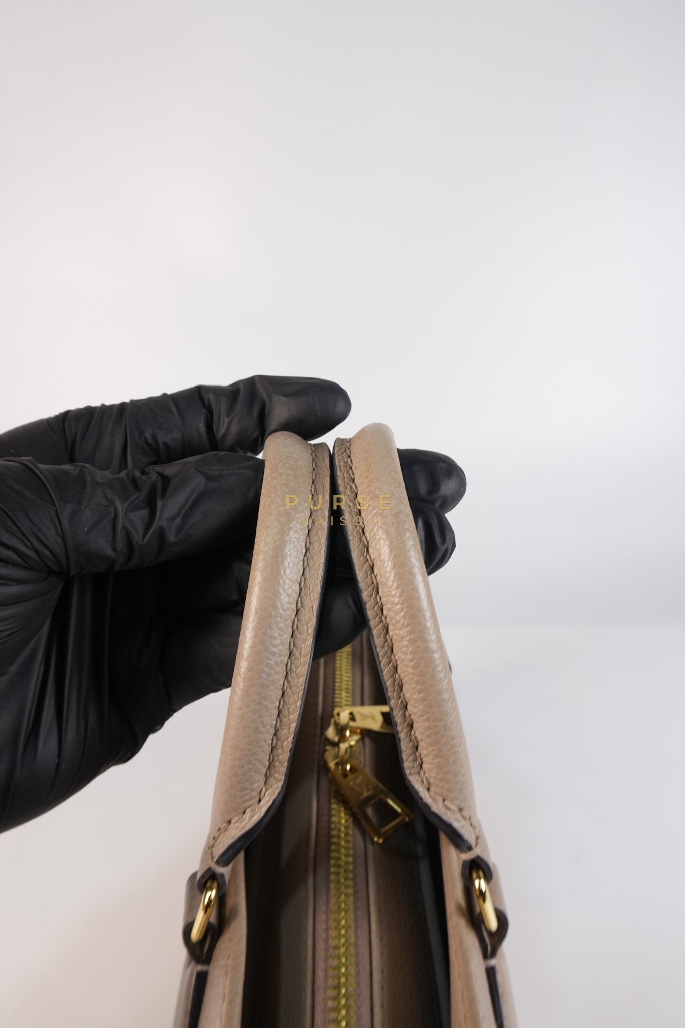 OnTheGo (OTG) East West Bi-color Empriente Leather (Microchip) | Purse Maison Luxury Bags Shop