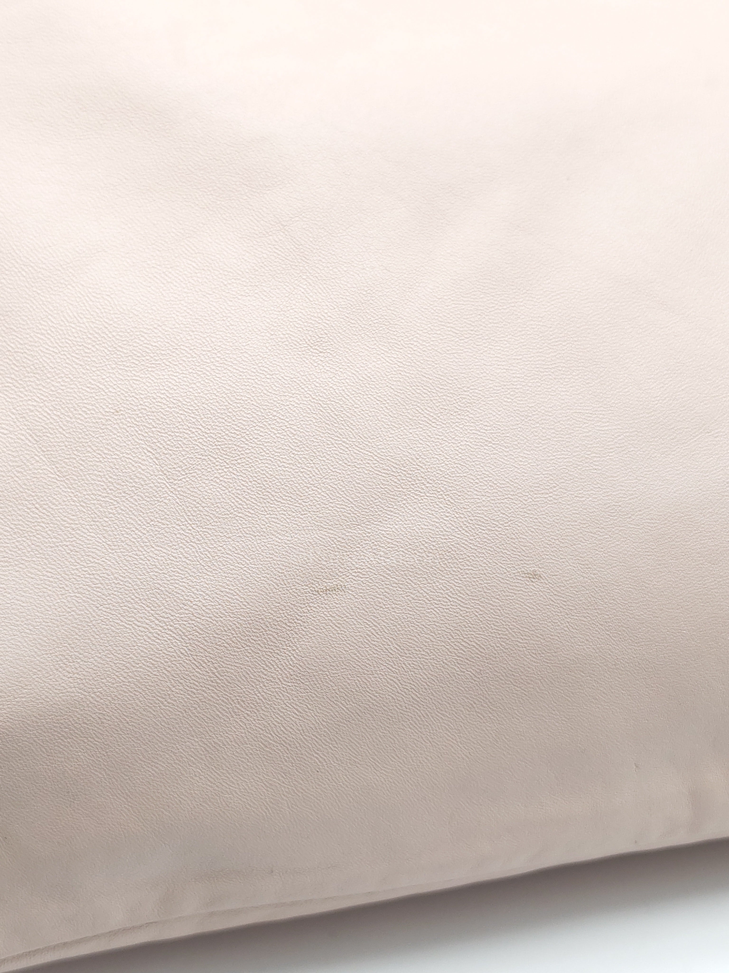 Pack Pouch Crossbody Bag in Blush Pink Leather & Gold Hardware | Purse Maison Luxury Bags Shop