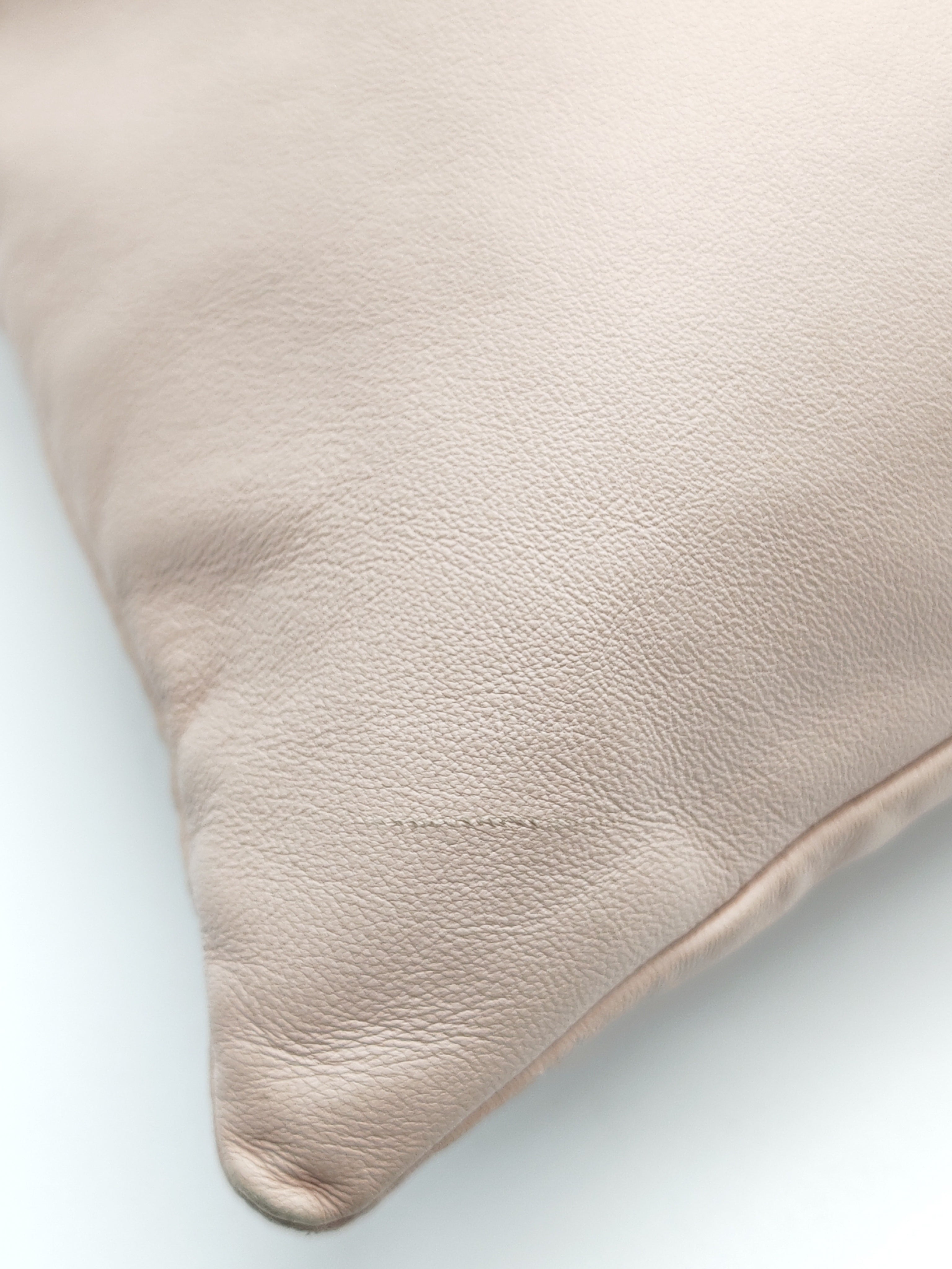 Pack Pouch Crossbody Bag in Blush Pink Leather & Gold Hardware | Purse Maison Luxury Bags Shop