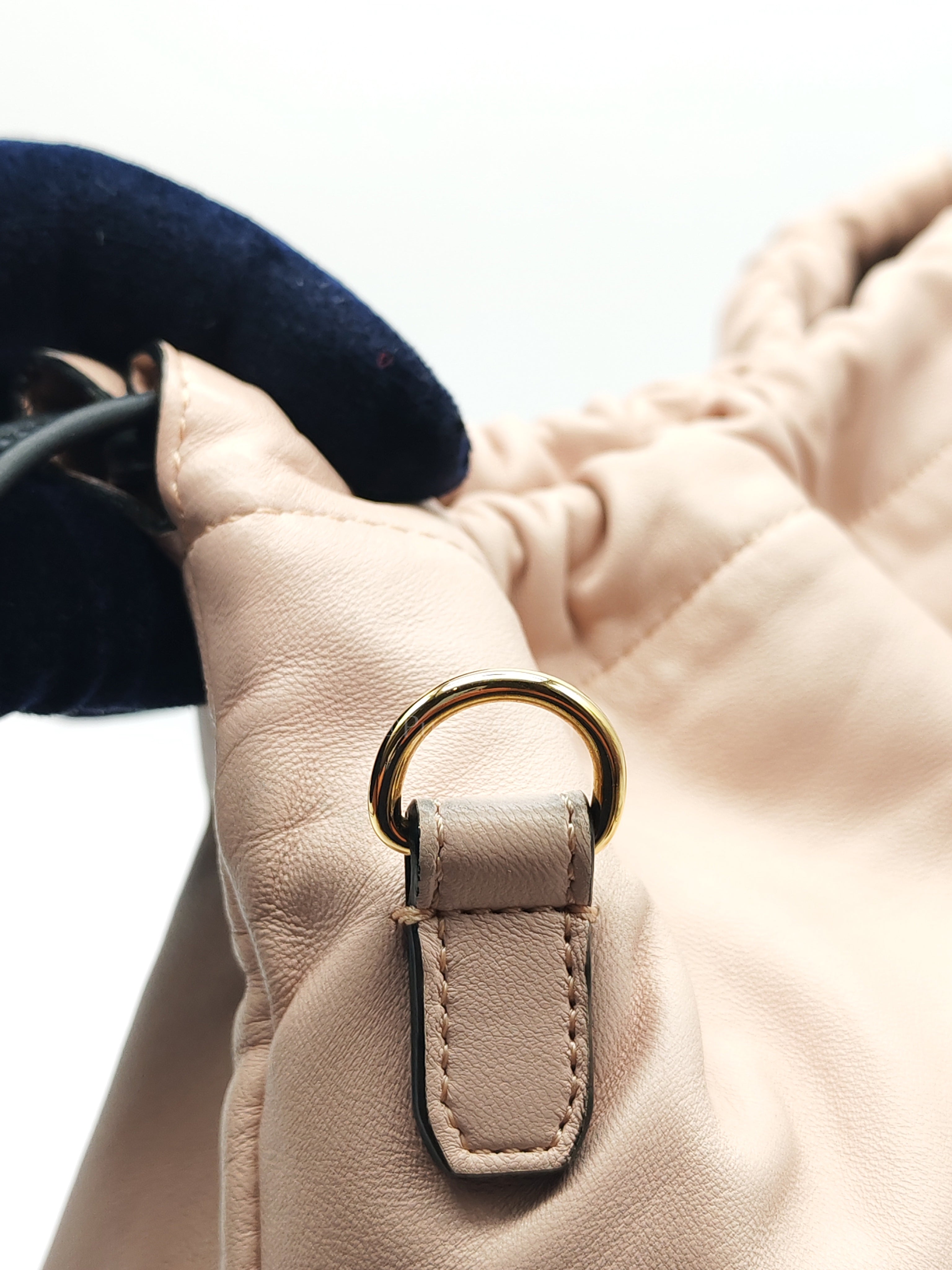 Pack Pouch Crossbody Bag in Blush Pink Leather & Gold Hardware | Purse Maison Luxury Bags Shop