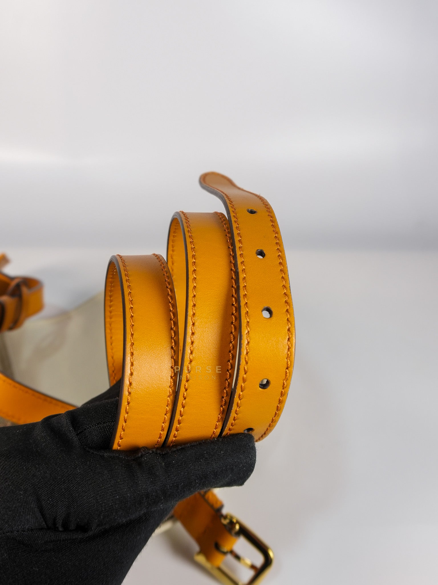 Padlock Saddle Monogram Canvas in Beige Mystic & Off White Leather | Purse Maison Luxury Bags Shop