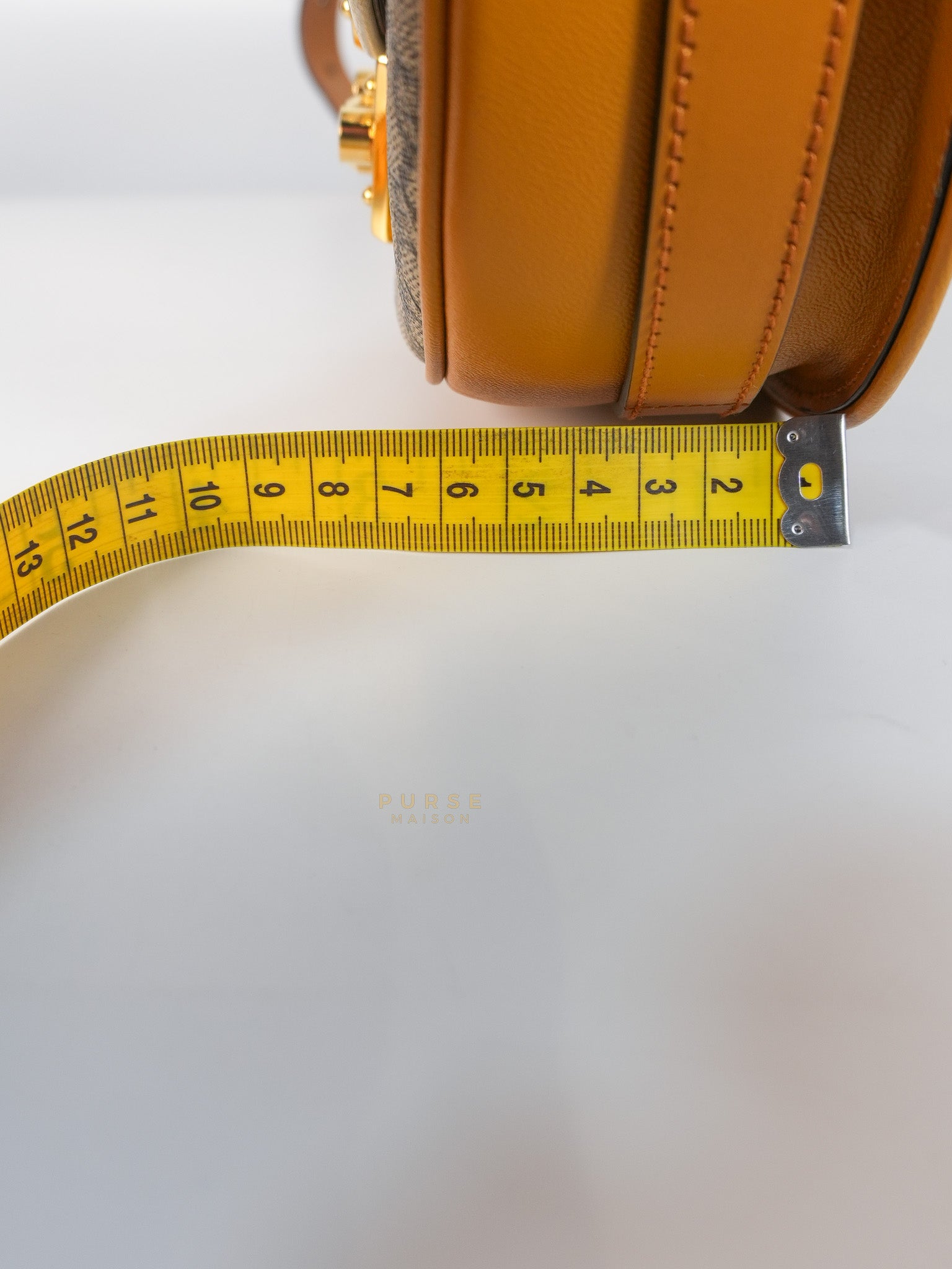 Padlock Saddle Monogram Canvas in Beige Mystic & Off White Leather | Purse Maison Luxury Bags Shop