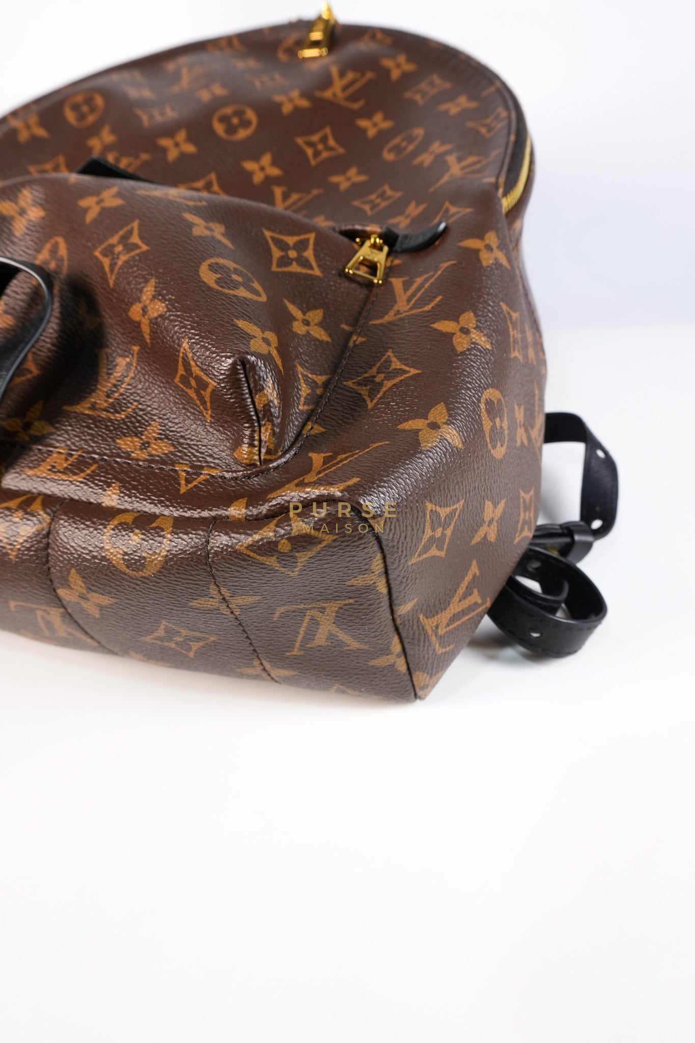 Palm Spring Backpack MM in Monogram Canvas (Microchip) | Purse Maison Luxury Bags Shop