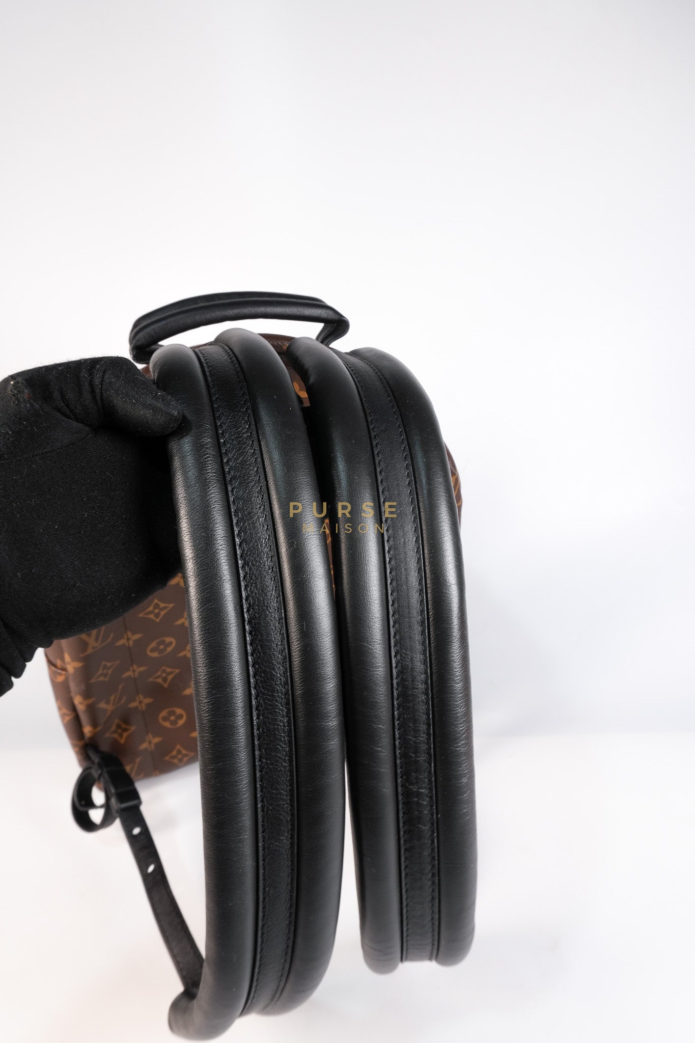 Palm Spring Backpack MM in Monogram Canvas (Microchip) | Purse Maison Luxury Bags Shop