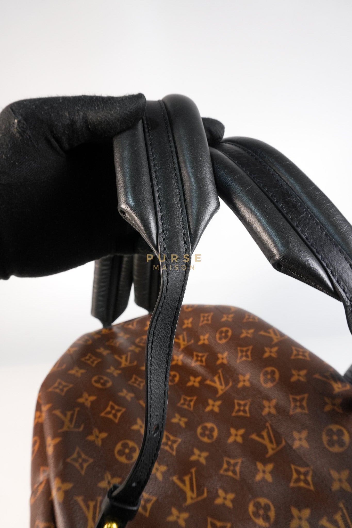 Palm Spring Backpack MM in Monogram Canvas (Microchip) | Purse Maison Luxury Bags Shop