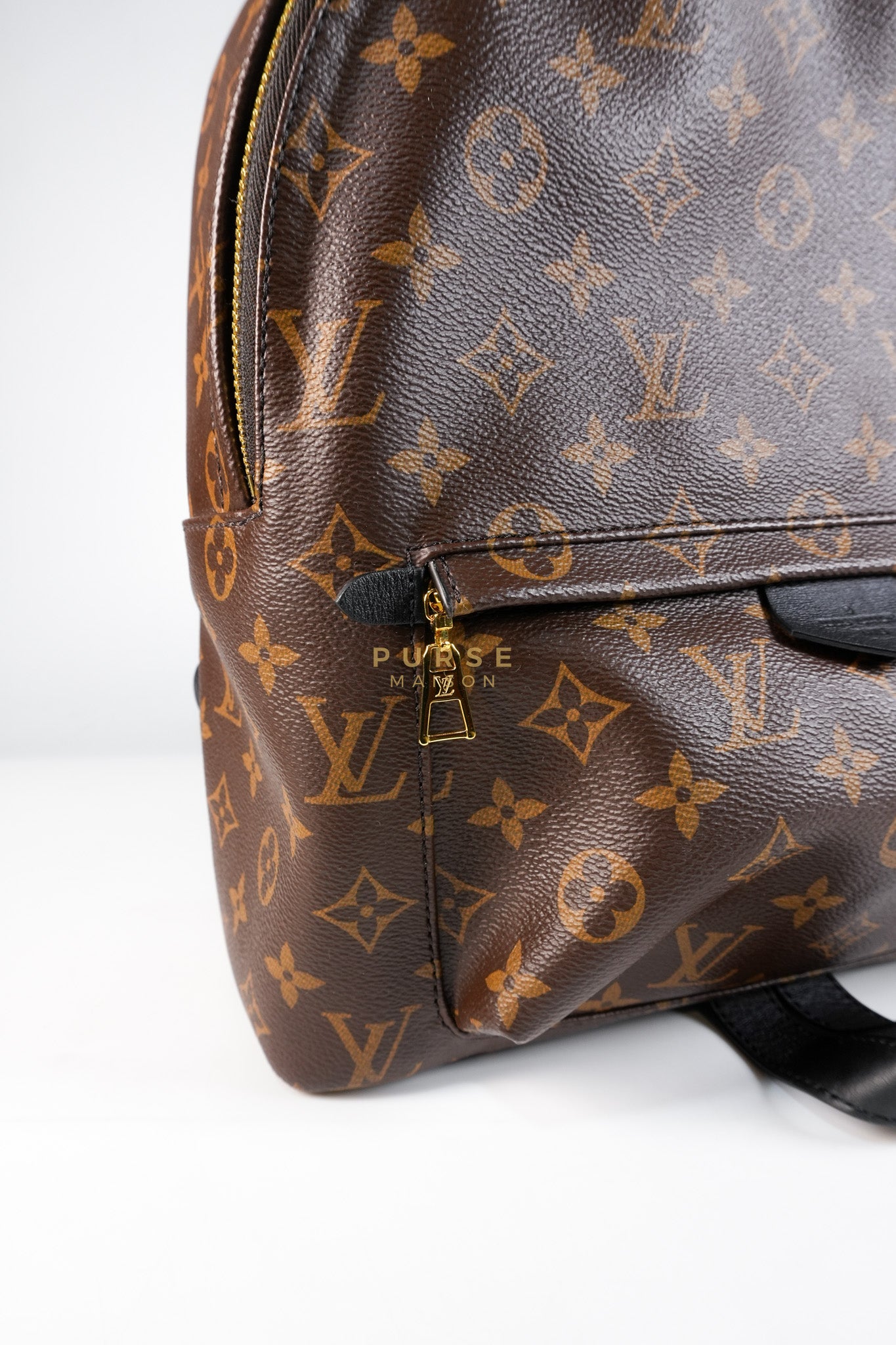 Palm Spring Backpack MM in Monogram Canvas (Microchip) | Purse Maison Luxury Bags Shop