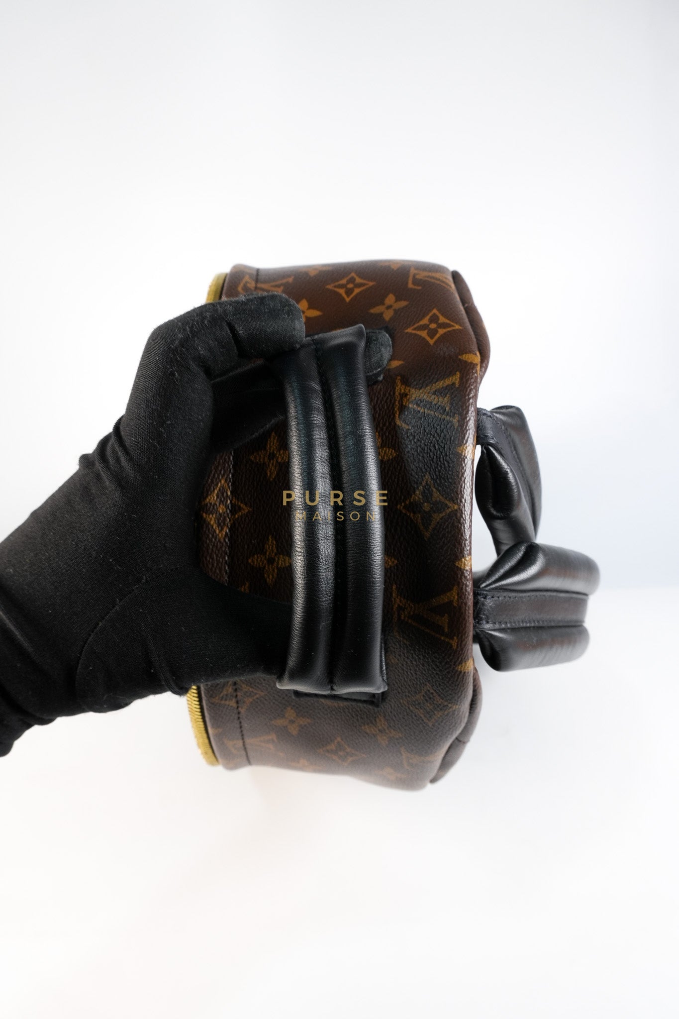 Palm Spring Backpack MM in Monogram Canvas (Microchip) | Purse Maison Luxury Bags Shop