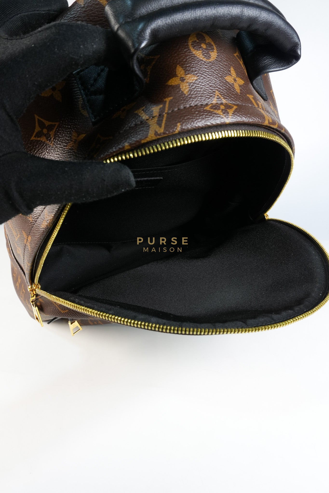 Palm Spring Backpack MM in Monogram Canvas (Microchip) | Purse Maison Luxury Bags Shop