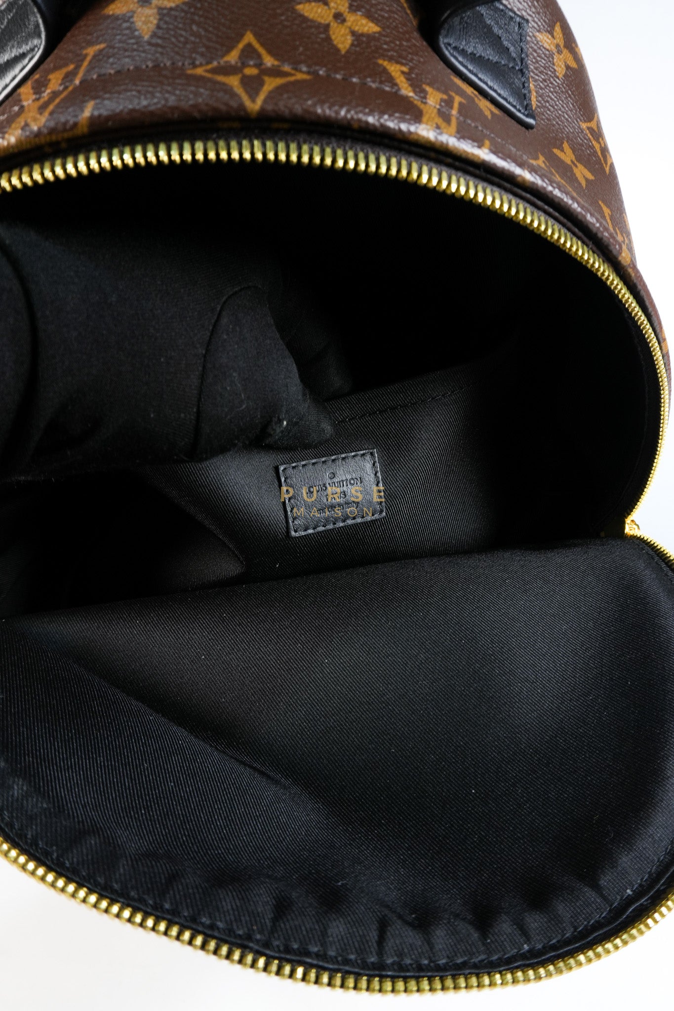 Palm Spring Backpack MM in Monogram Canvas (Microchip) | Purse Maison Luxury Bags Shop