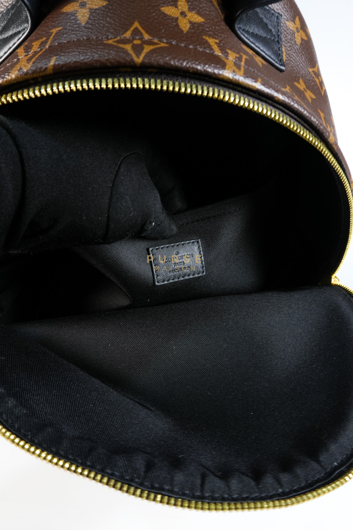 Palm Spring Backpack MM in Monogram Canvas (Microchip) | Purse Maison Luxury Bags Shop