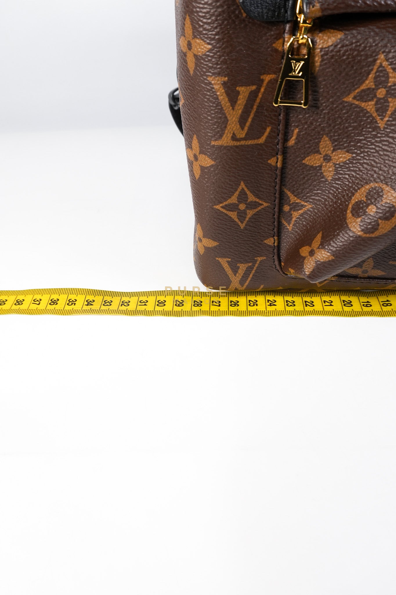 Palm Spring Backpack MM in Monogram Canvas (Microchip) | Purse Maison Luxury Bags Shop