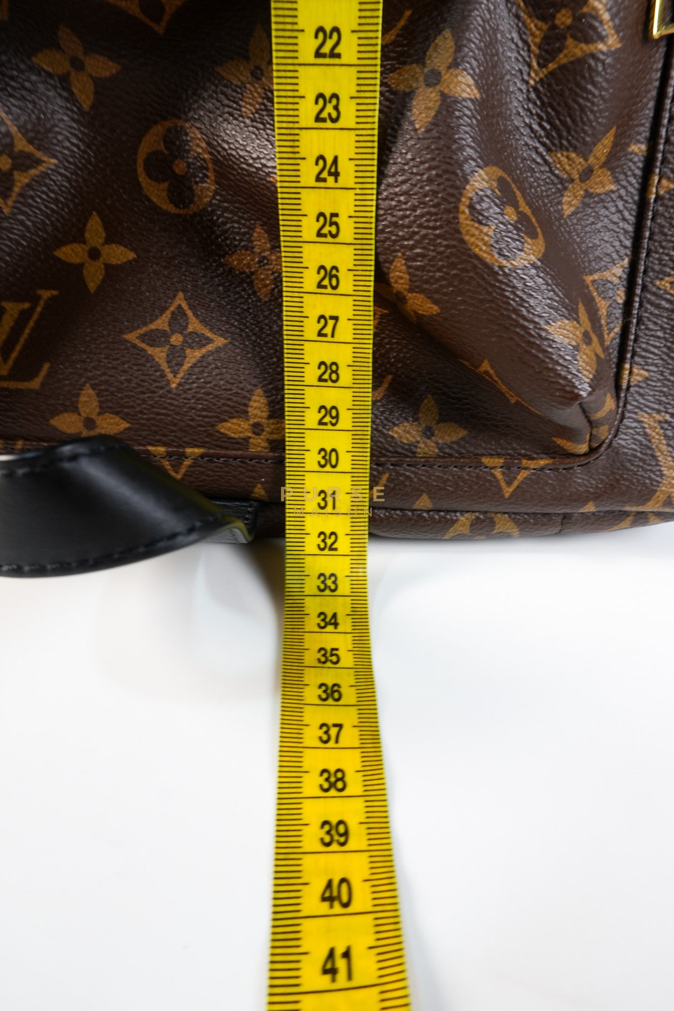 Palm Spring Backpack MM in Monogram Canvas (Microchip) | Purse Maison Luxury Bags Shop