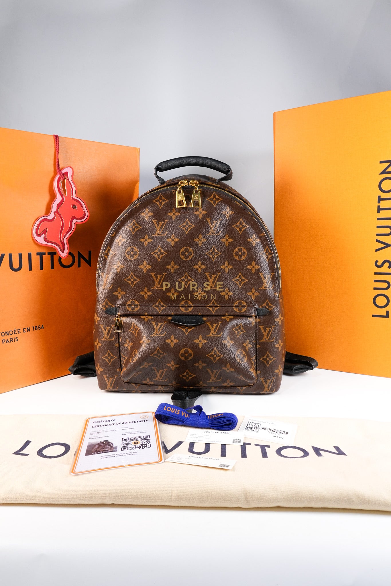 Palm Spring Backpack MM in Monogram Canvas (Microchip) | Purse Maison Luxury Bags Shop