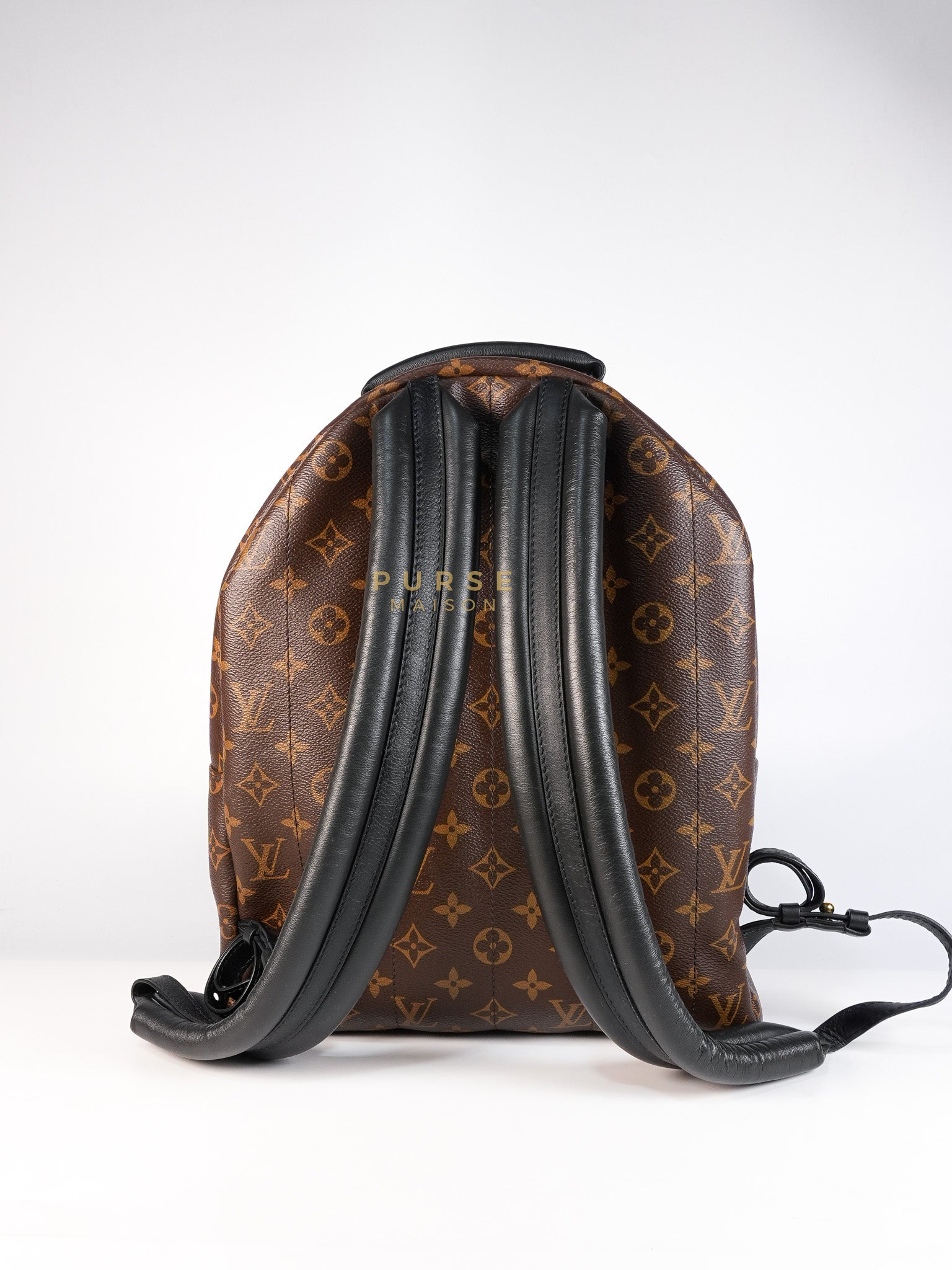 Palm Spring Backpack MM in Monogram Canvas (Microchip) | Purse Maison Luxury Bags Shop