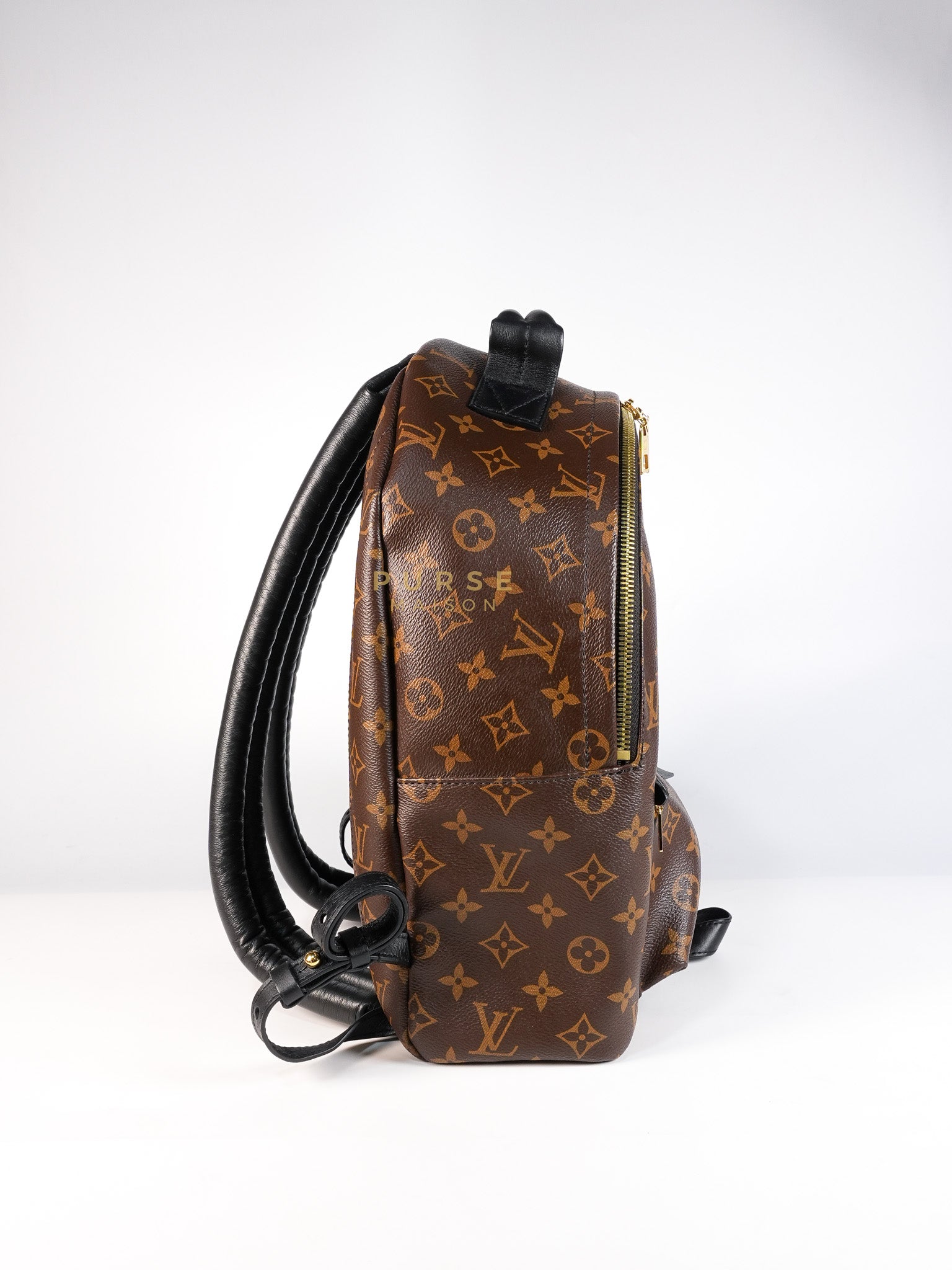 Palm Spring Backpack MM in Monogram Canvas (Microchip) | Purse Maison Luxury Bags Shop