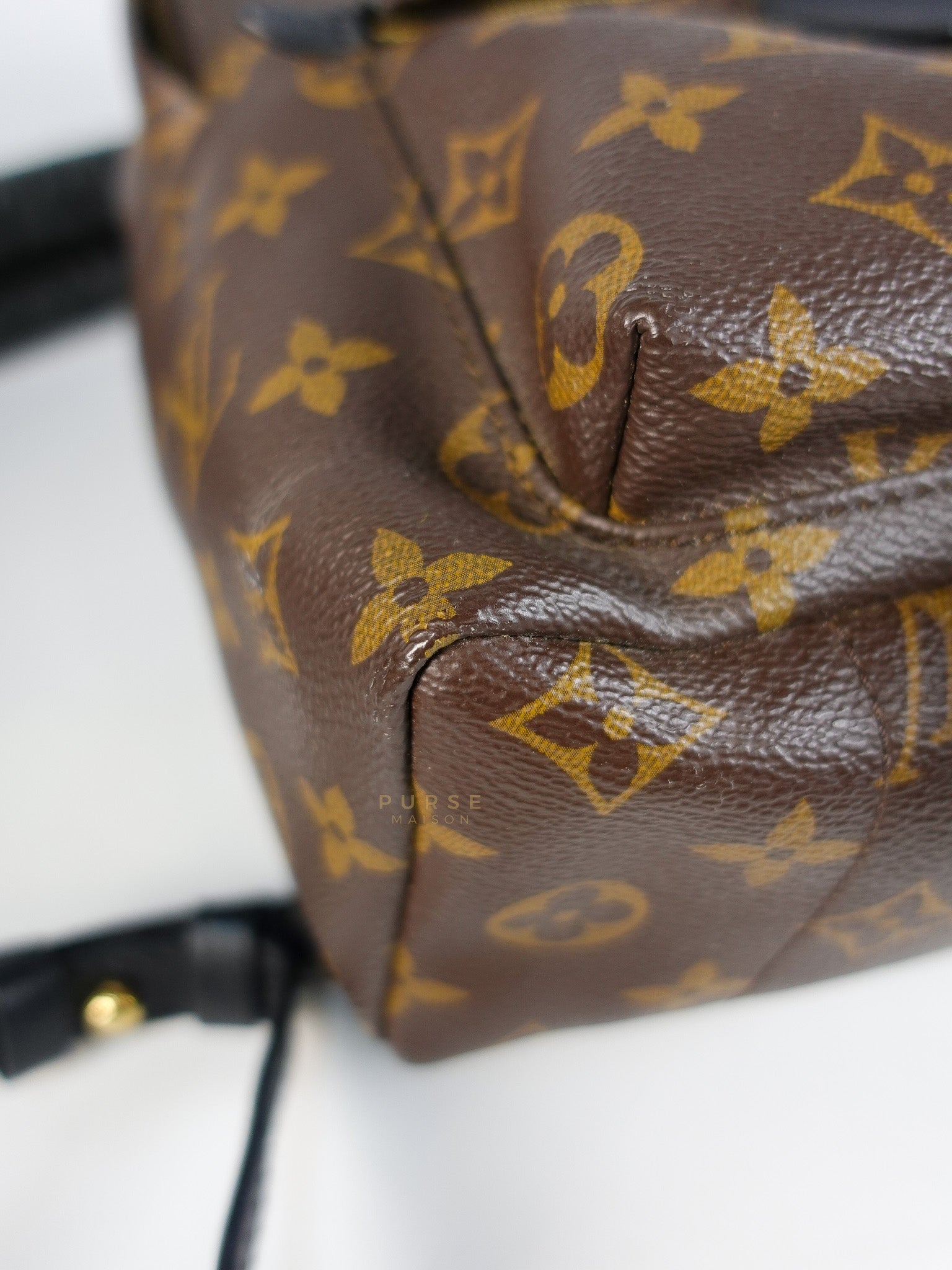 Palm Spring Backpack PM in Monogram Canvas (Date Code: TX1159) | Purse Maison Luxury Bags Shop