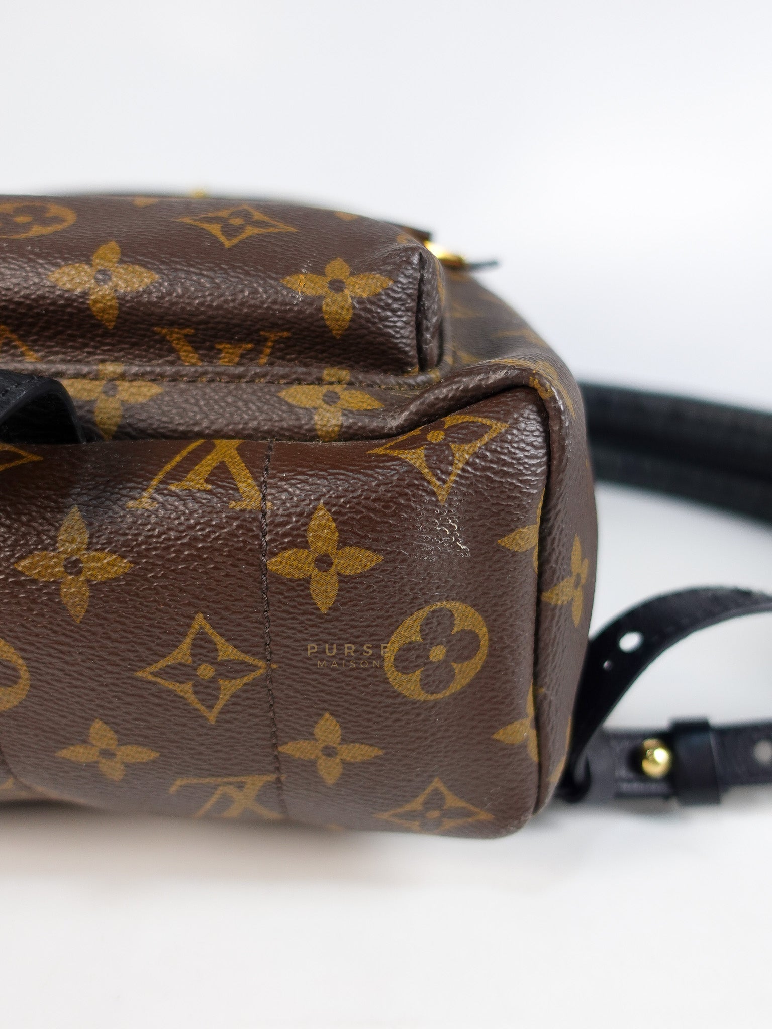 Palm Spring Backpack PM in Monogram Canvas (Date Code: TX1159) | Purse Maison Luxury Bags Shop