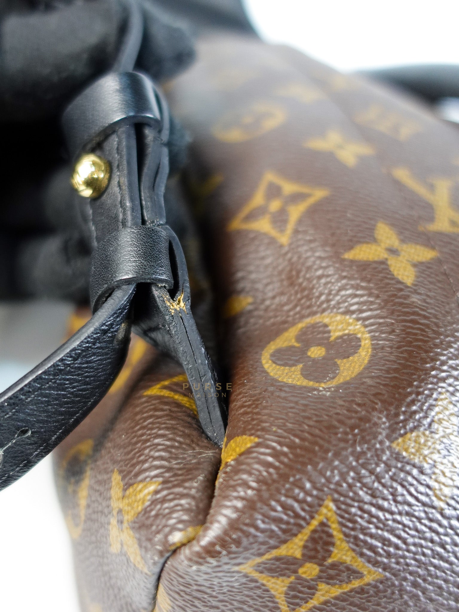 Palm Spring Backpack PM in Monogram Canvas (Date Code: TX1159) | Purse Maison Luxury Bags Shop