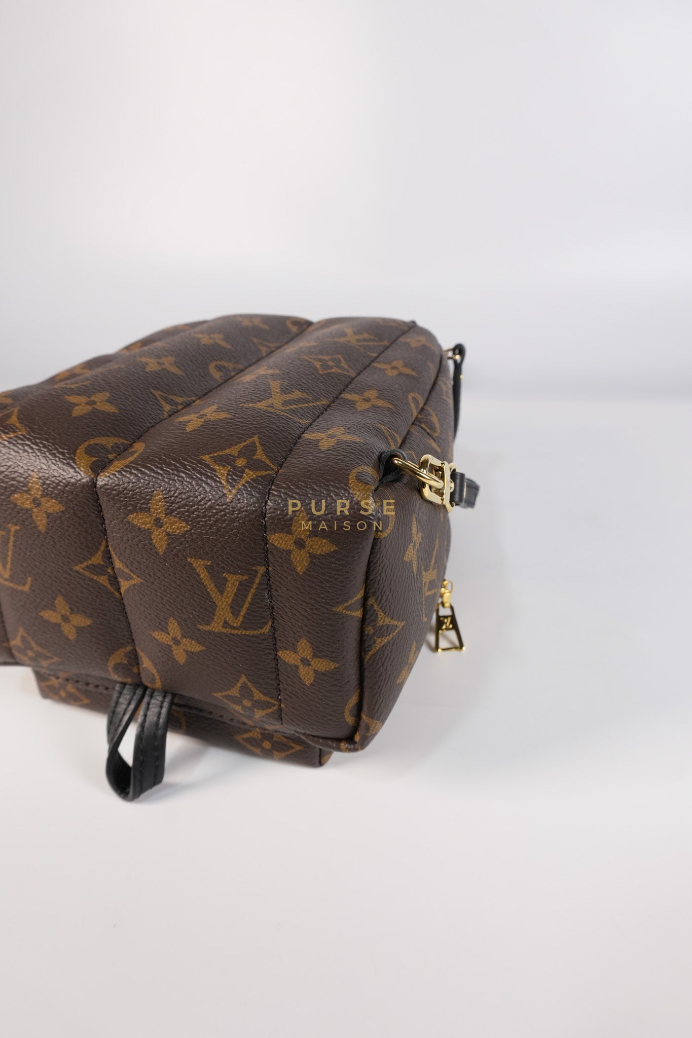 Palm Spring Mini Backpack in Monogram Canvas & Gold Hardware Microchip | Purse Maison Luxury Bags Shop