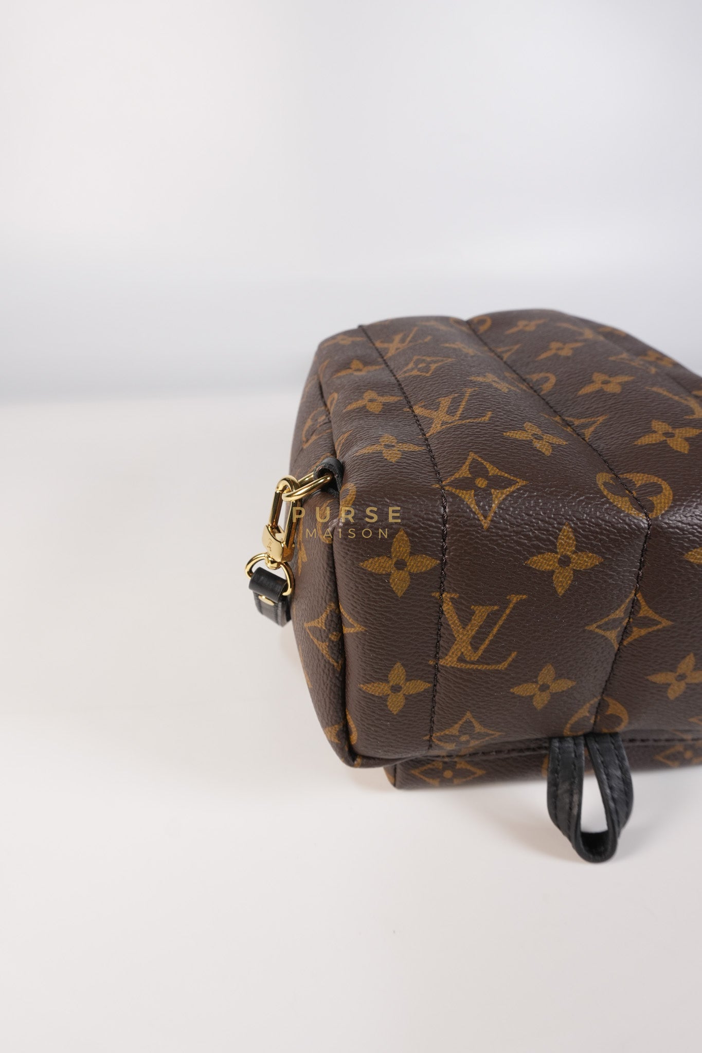 Palm Spring Mini Backpack in Monogram Canvas & Gold Hardware Microchip | Purse Maison Luxury Bags Shop