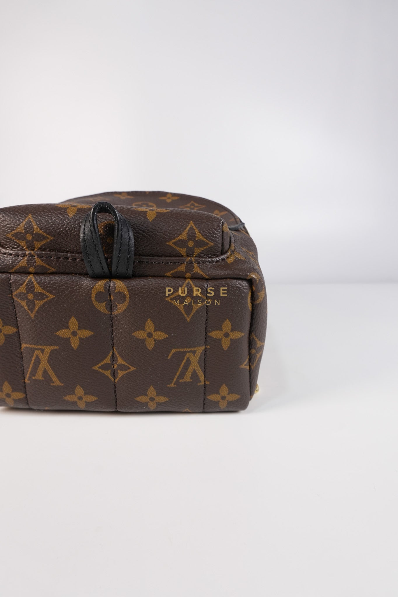 Palm Spring Mini Backpack in Monogram Canvas & Gold Hardware Microchip | Purse Maison Luxury Bags Shop