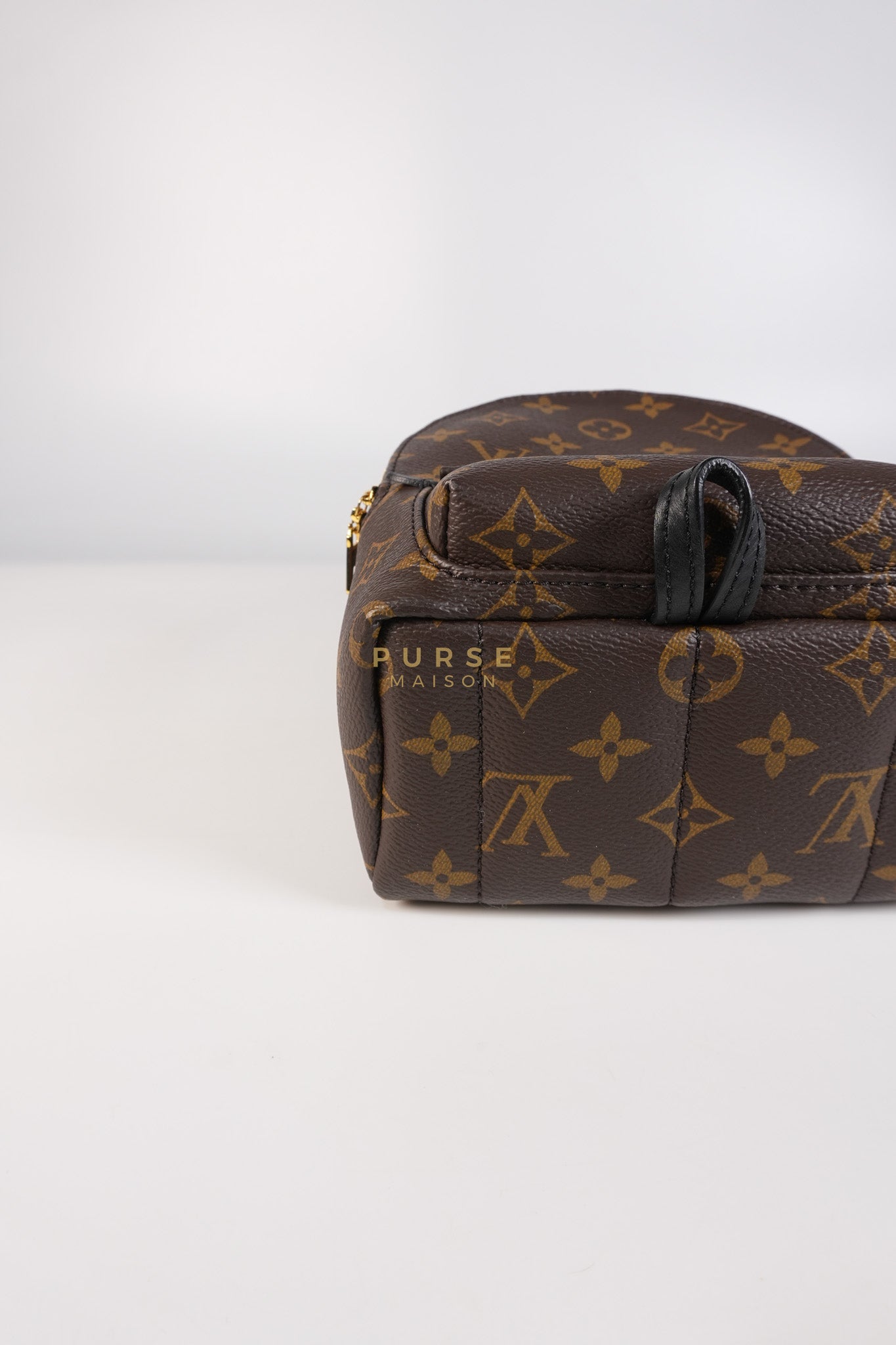 Palm Spring Mini Backpack in Monogram Canvas & Gold Hardware Microchip | Purse Maison Luxury Bags Shop