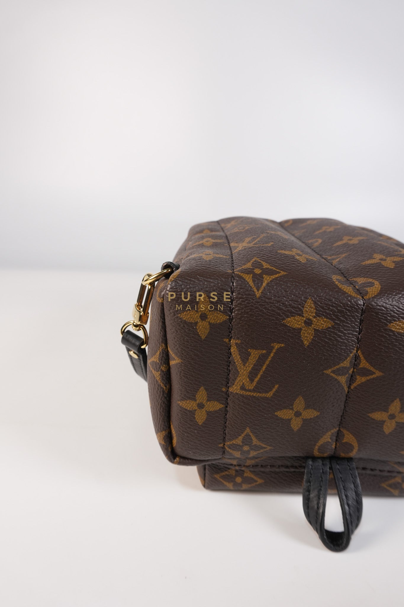 Palm Spring Mini Backpack in Monogram Canvas & Gold Hardware Microchip | Purse Maison Luxury Bags Shop