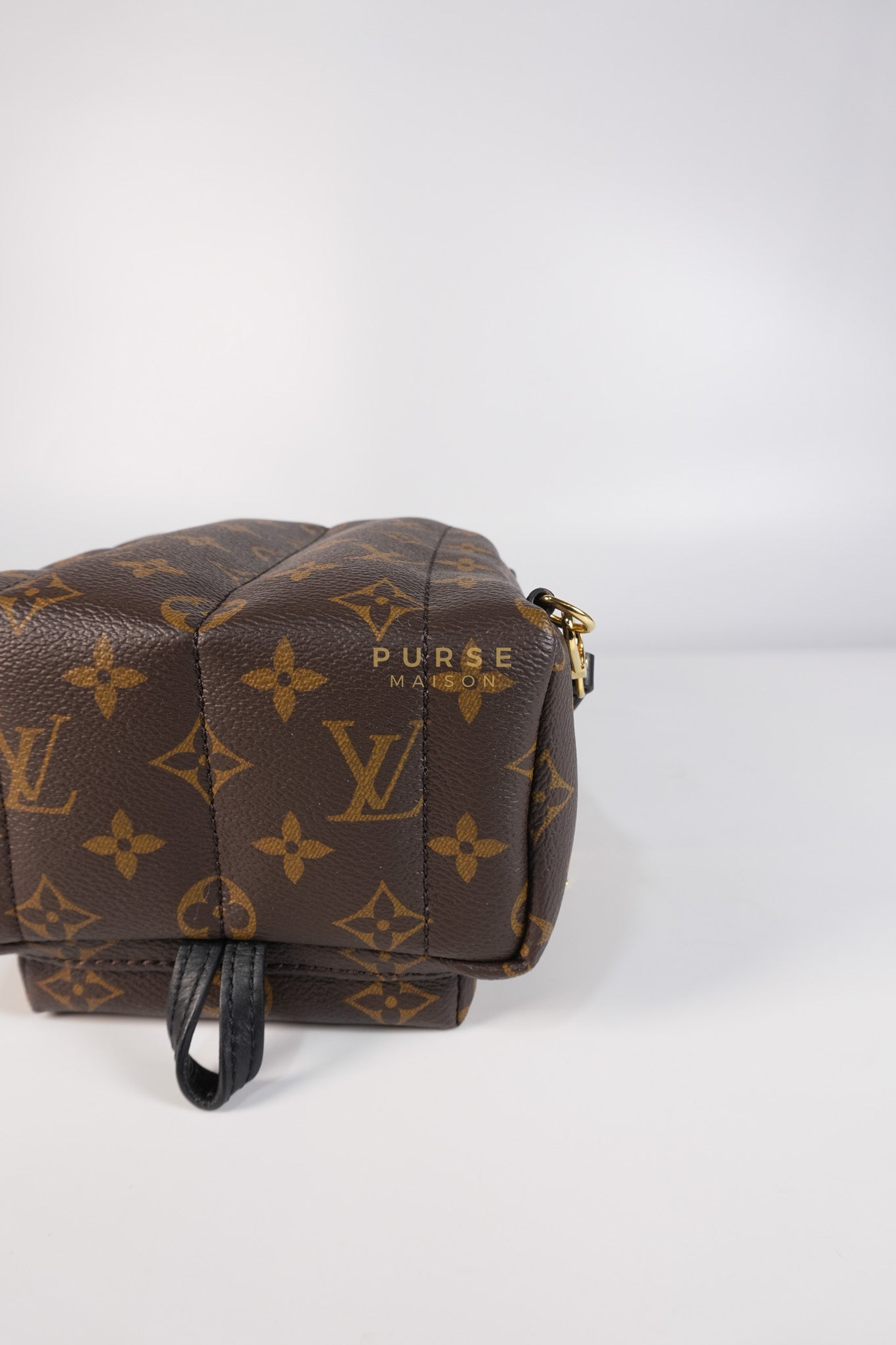 Palm Spring Mini Backpack in Monogram Canvas & Gold Hardware Microchip | Purse Maison Luxury Bags Shop