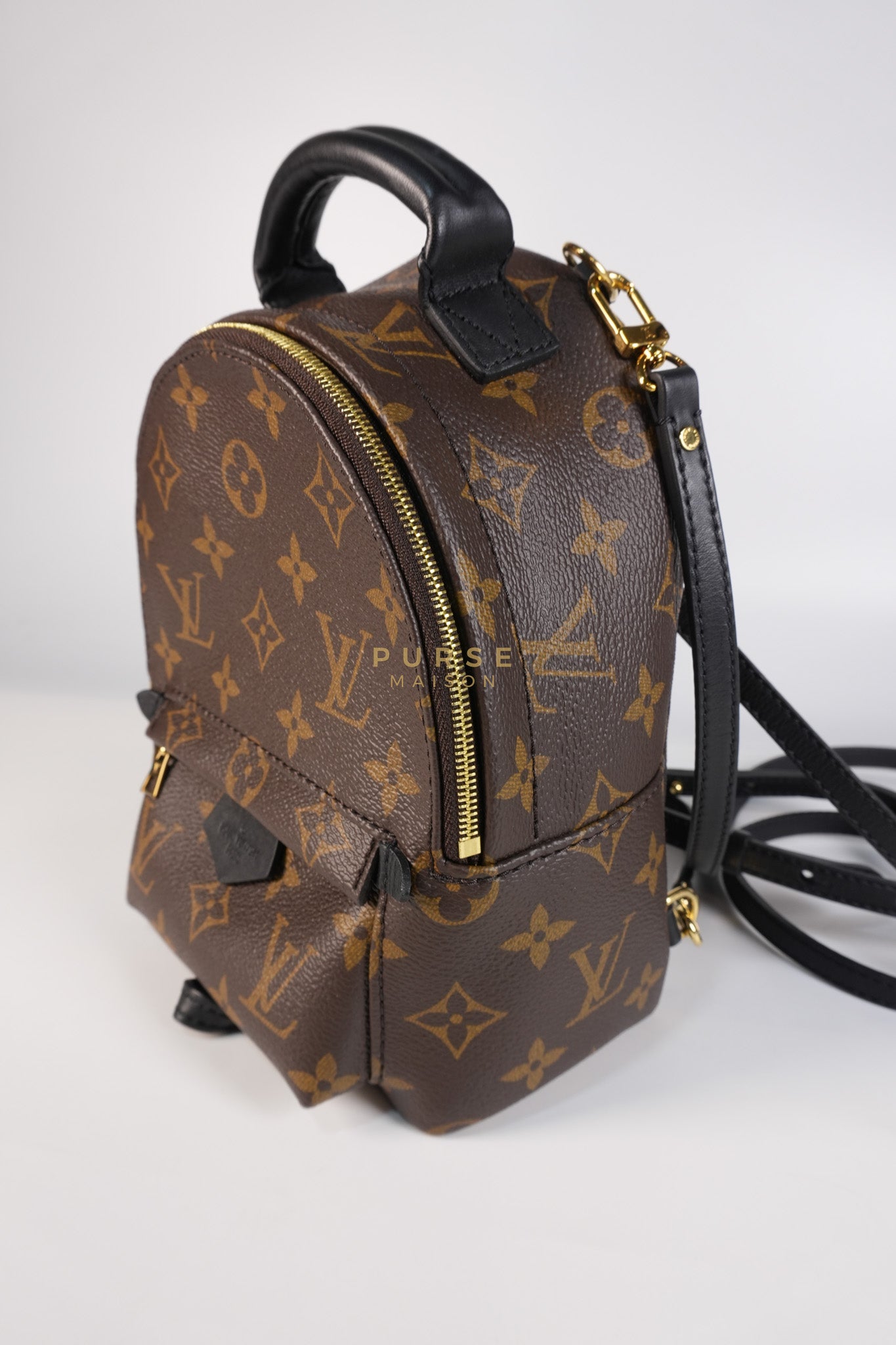 Palm Spring Mini Backpack in Monogram Canvas & Gold Hardware Microchip | Purse Maison Luxury Bags Shop