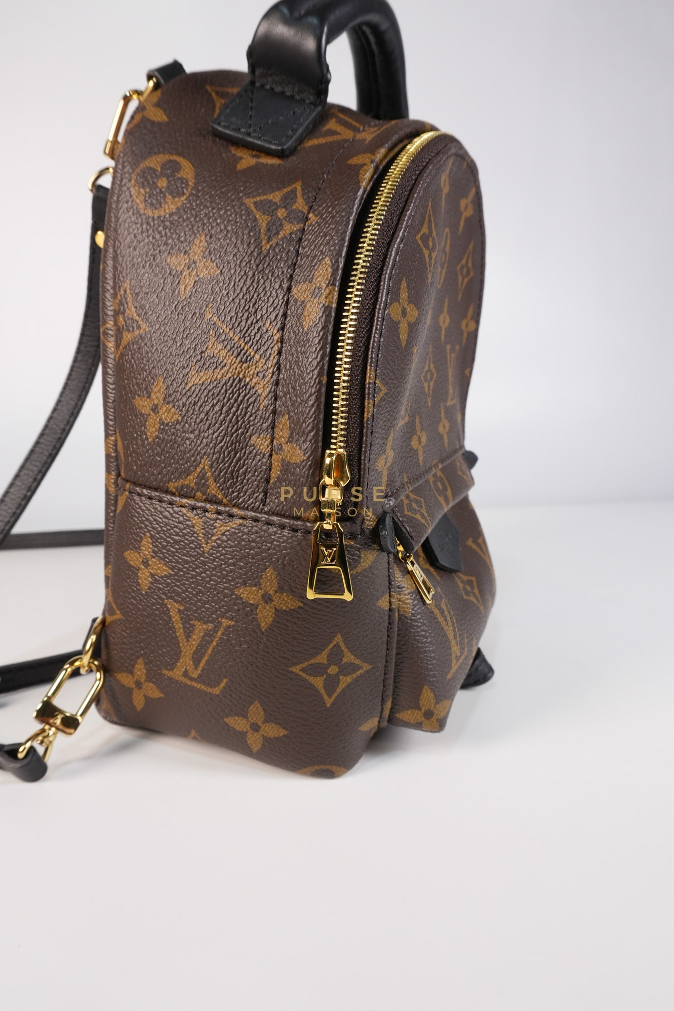 Palm Spring Mini Backpack in Monogram Canvas & Gold Hardware Microchip | Purse Maison Luxury Bags Shop