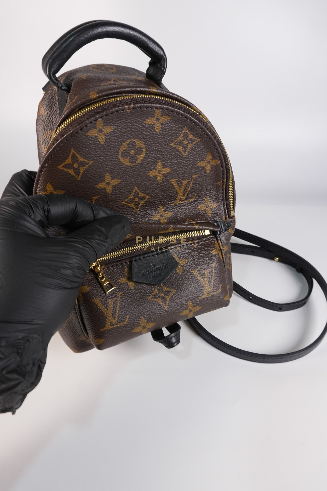 Palm Spring Mini Backpack in Monogram Canvas & Gold Hardware Microchip | Purse Maison Luxury Bags Shop