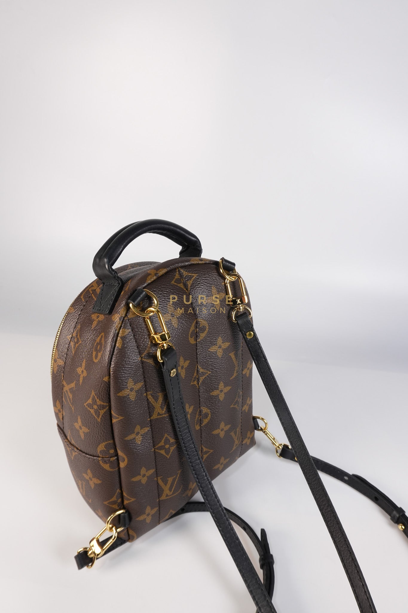 Palm Spring Mini Backpack in Monogram Canvas & Gold Hardware Microchip | Purse Maison Luxury Bags Shop