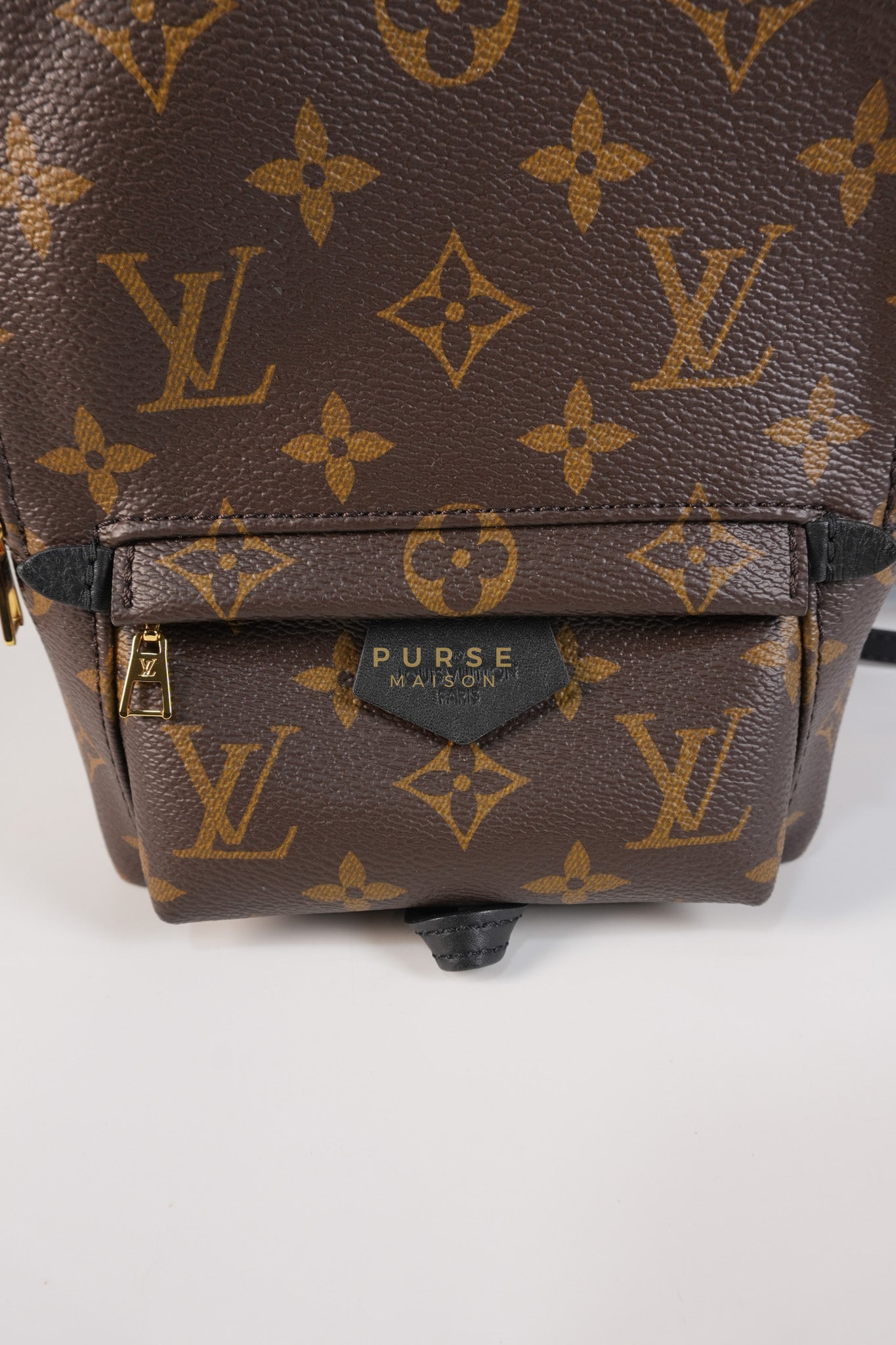 Palm Spring Mini Backpack in Monogram Canvas & Gold Hardware Microchip | Purse Maison Luxury Bags Shop