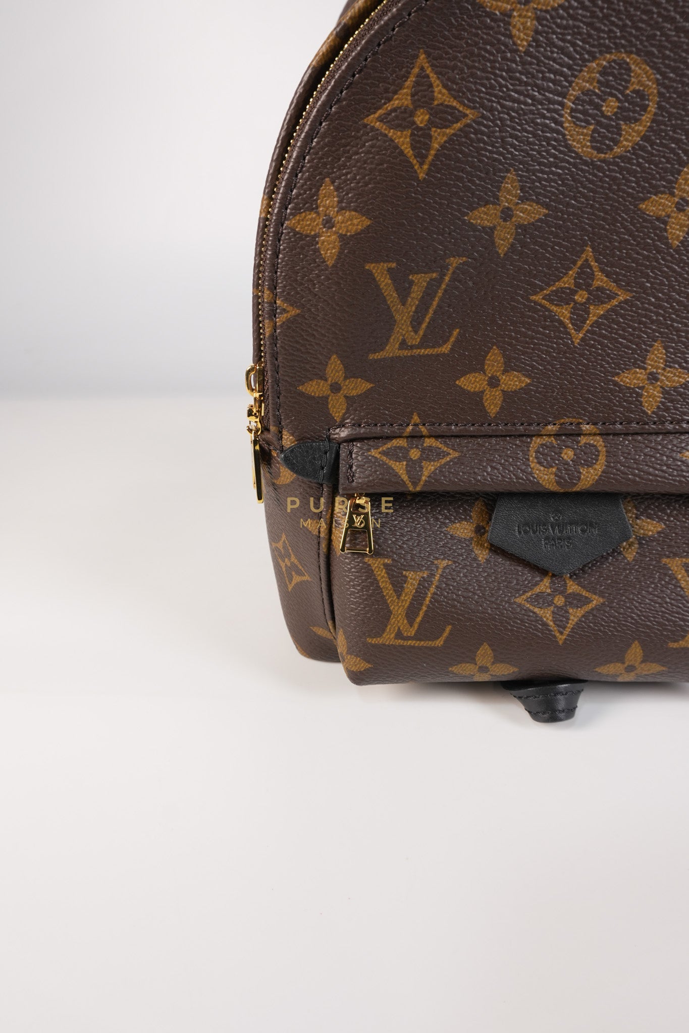 Palm Spring Mini Backpack in Monogram Canvas & Gold Hardware Microchip | Purse Maison Luxury Bags Shop