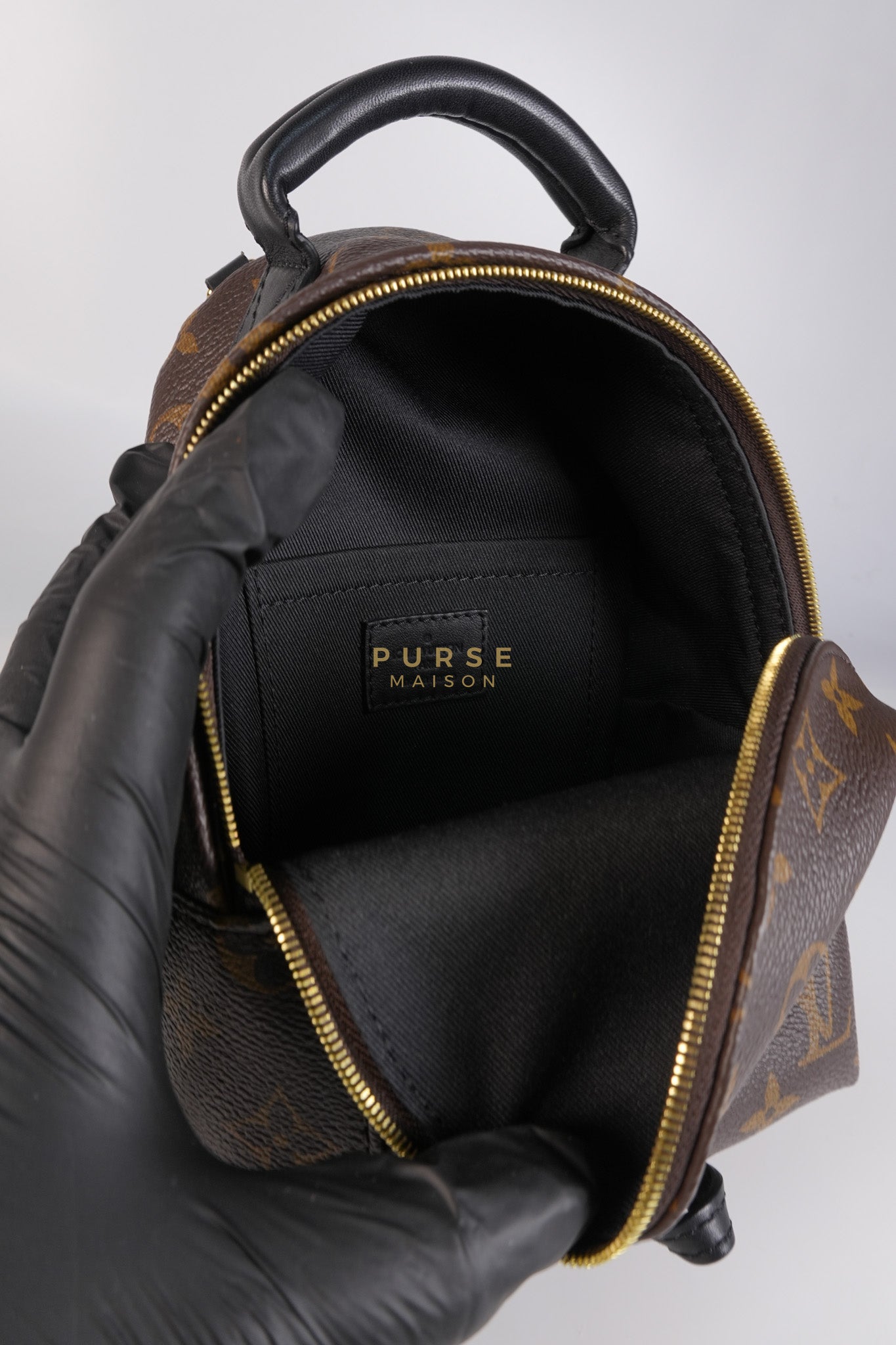 Palm Spring Mini Backpack in Monogram Canvas & Gold Hardware Microchip | Purse Maison Luxury Bags Shop