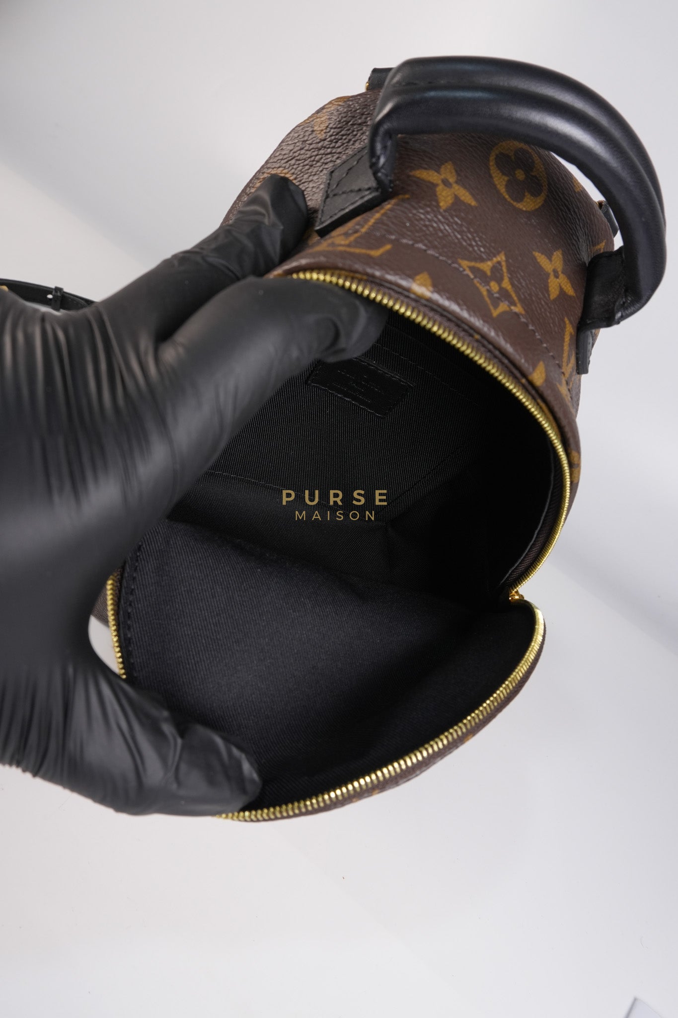 Palm Spring Mini Backpack in Monogram Canvas & Gold Hardware Microchip | Purse Maison Luxury Bags Shop