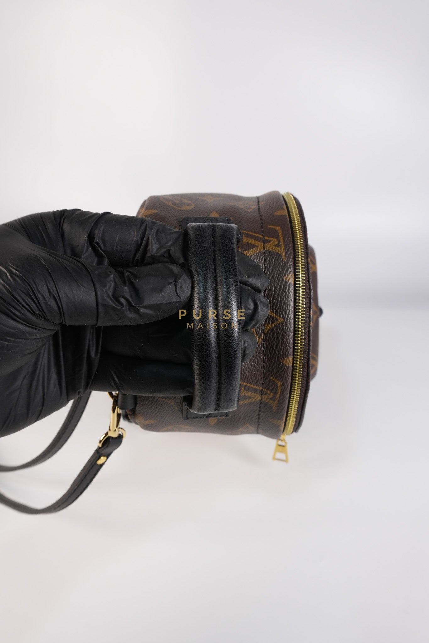 Palm Spring Mini Backpack in Monogram Canvas & Gold Hardware Microchip | Purse Maison Luxury Bags Shop