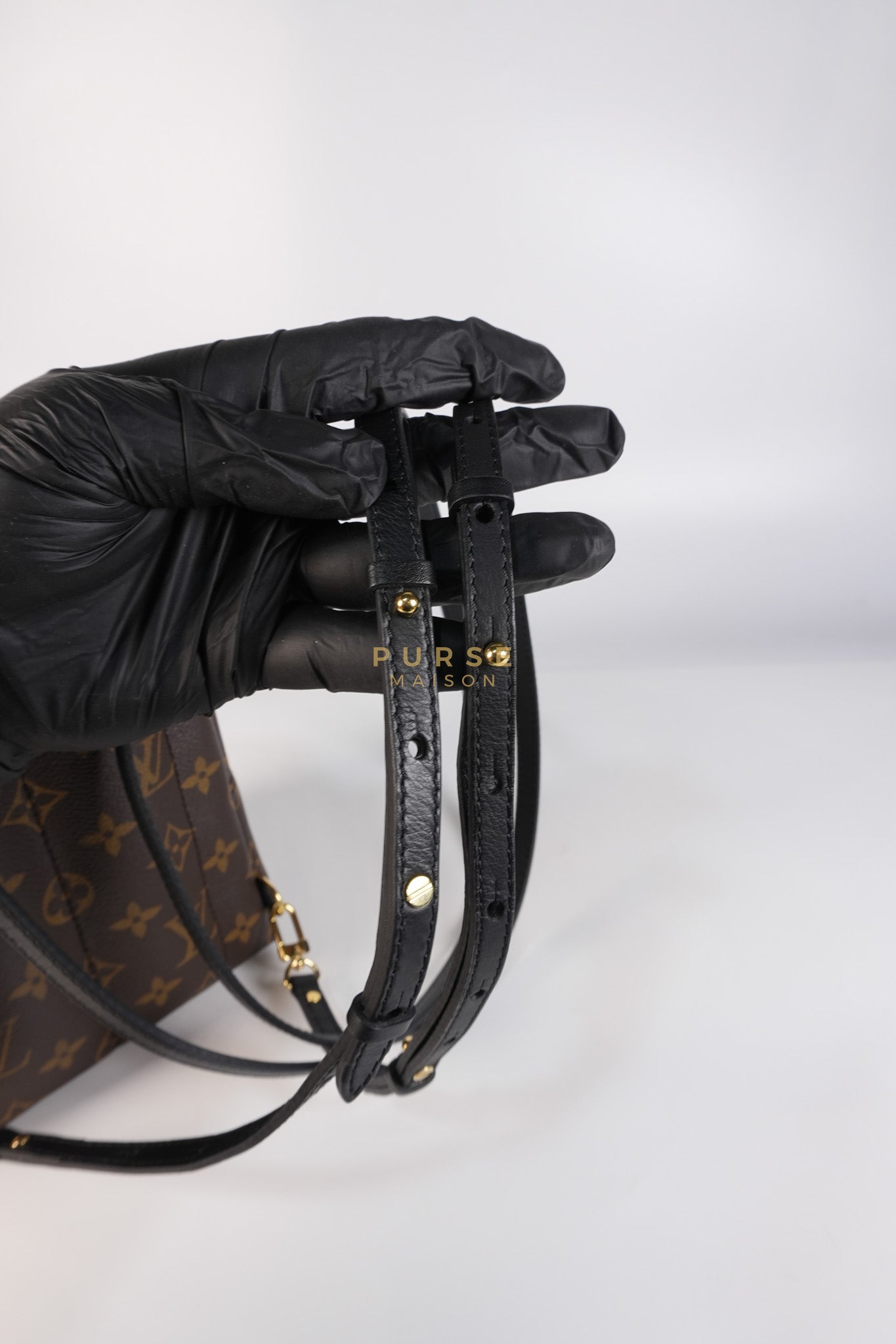 Palm Spring Mini Backpack in Monogram Canvas & Gold Hardware Microchip | Purse Maison Luxury Bags Shop