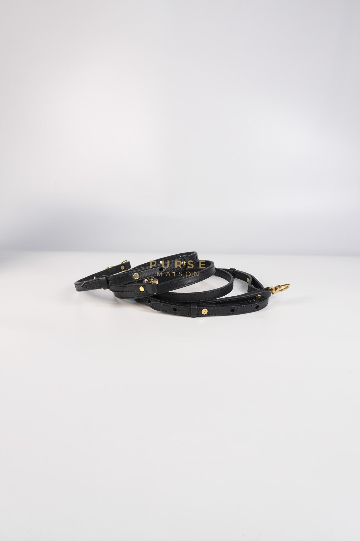 Palm Spring Mini Backpack in Monogram Canvas & Gold Hardware Microchip | Purse Maison Luxury Bags Shop